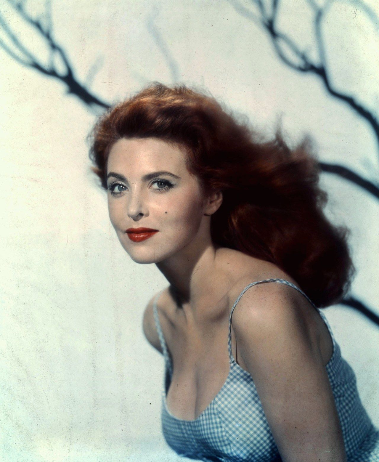 Tina Louise | Photos of Movie Stars and Singers I Luff | Pinterest ...