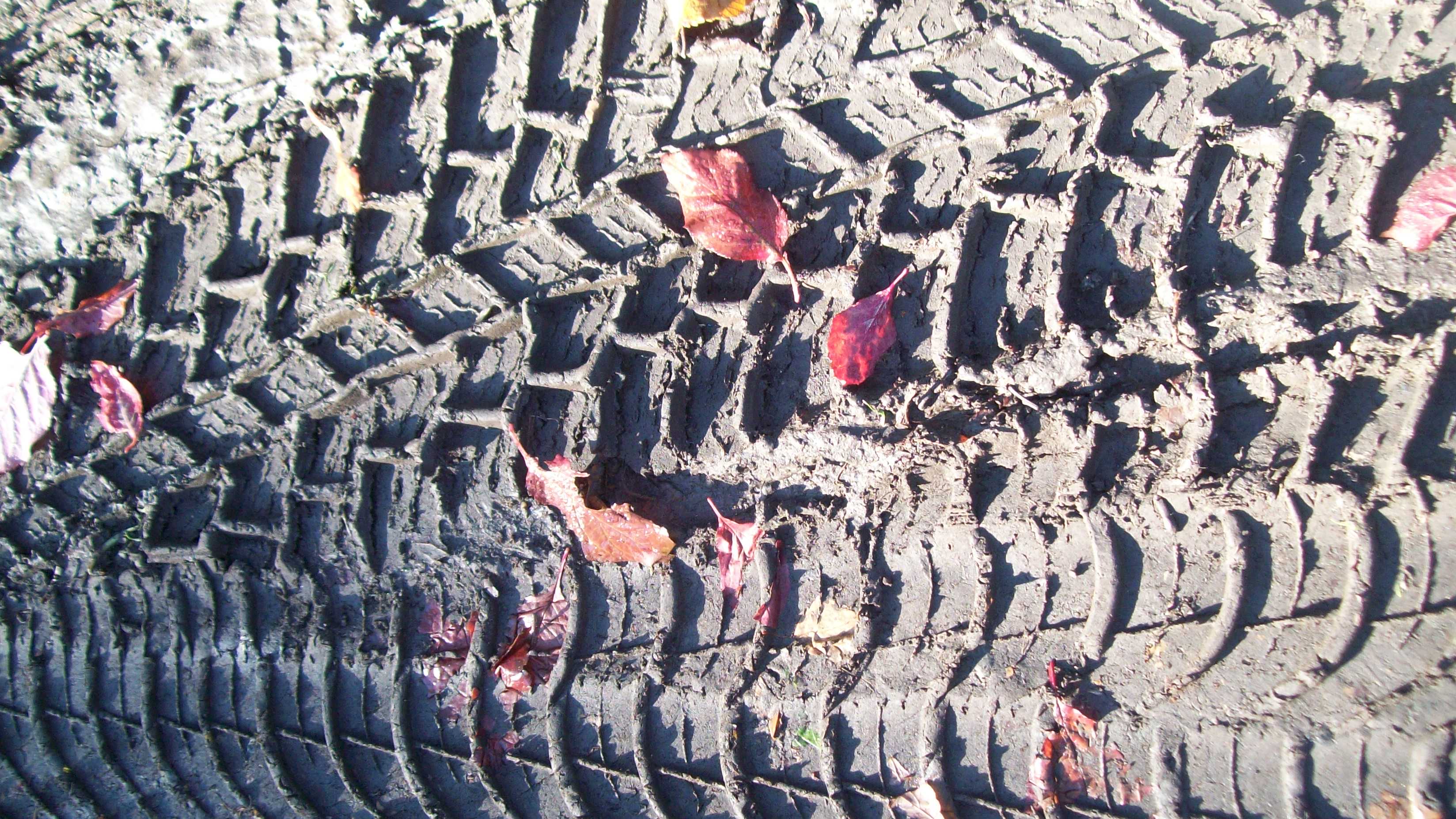 Tire imprint  texture photo