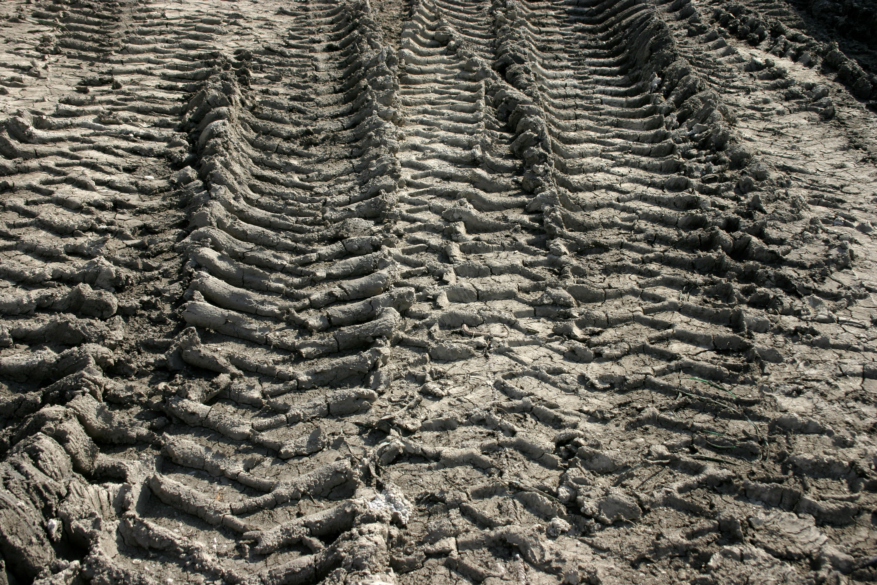 File:- Tire traces -.jpg - Wikimedia Commons