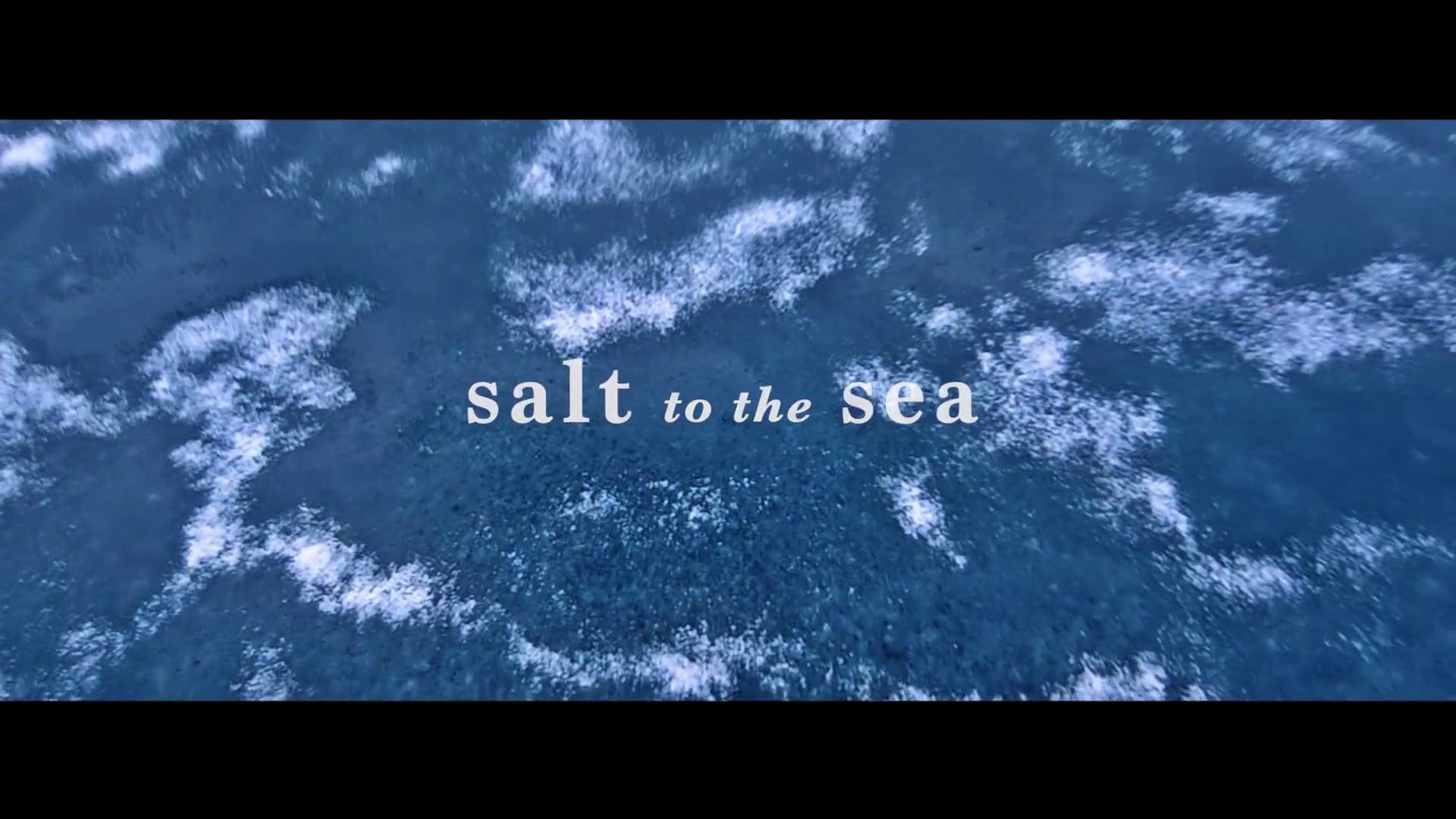 Salt to the Sea // Book Trailer - YouTube