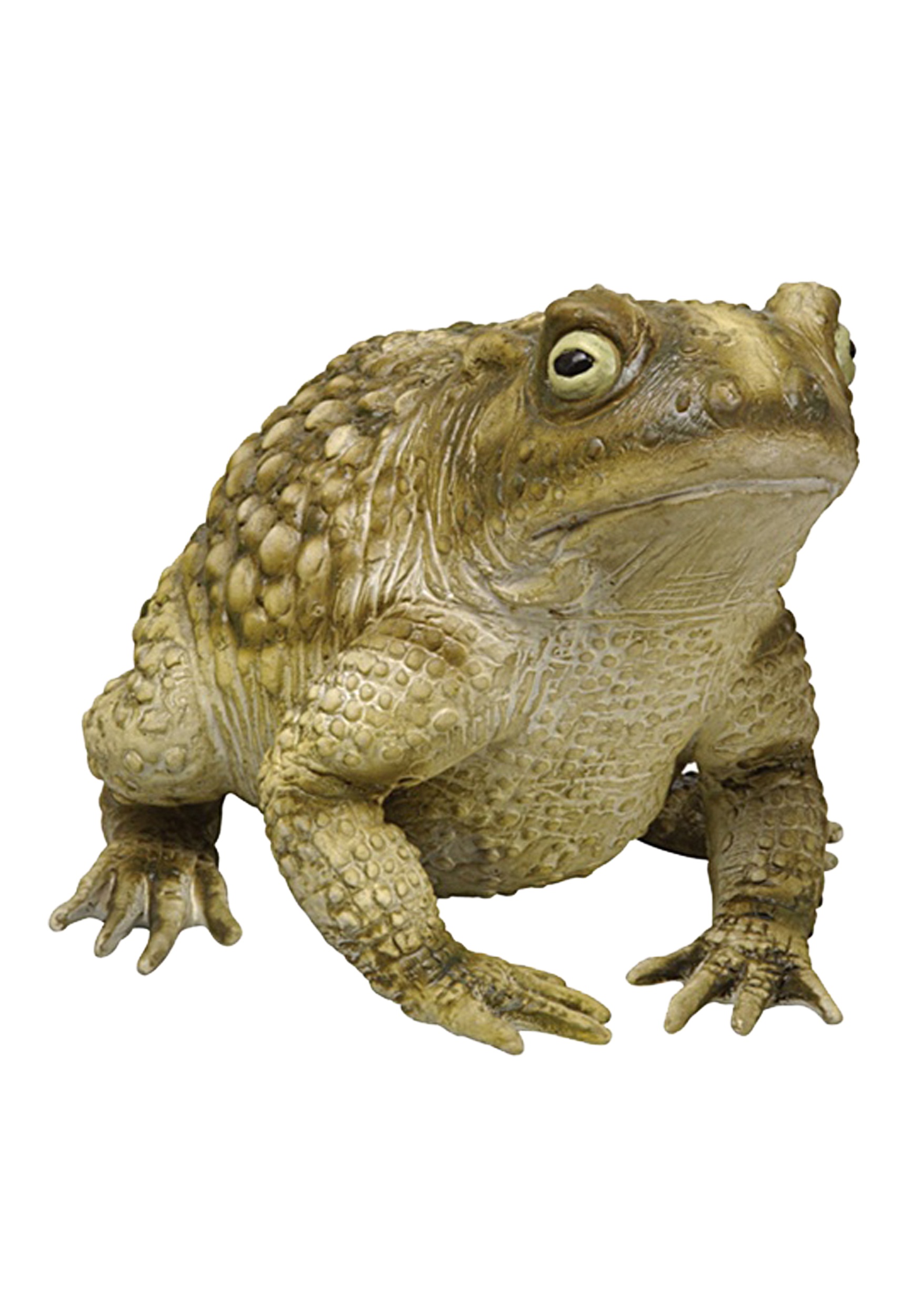 Foam Toad Statue