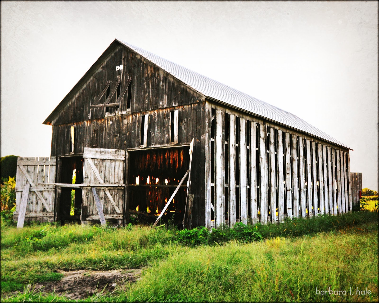 Commonplace Beauty Photography: A tobacco barn…