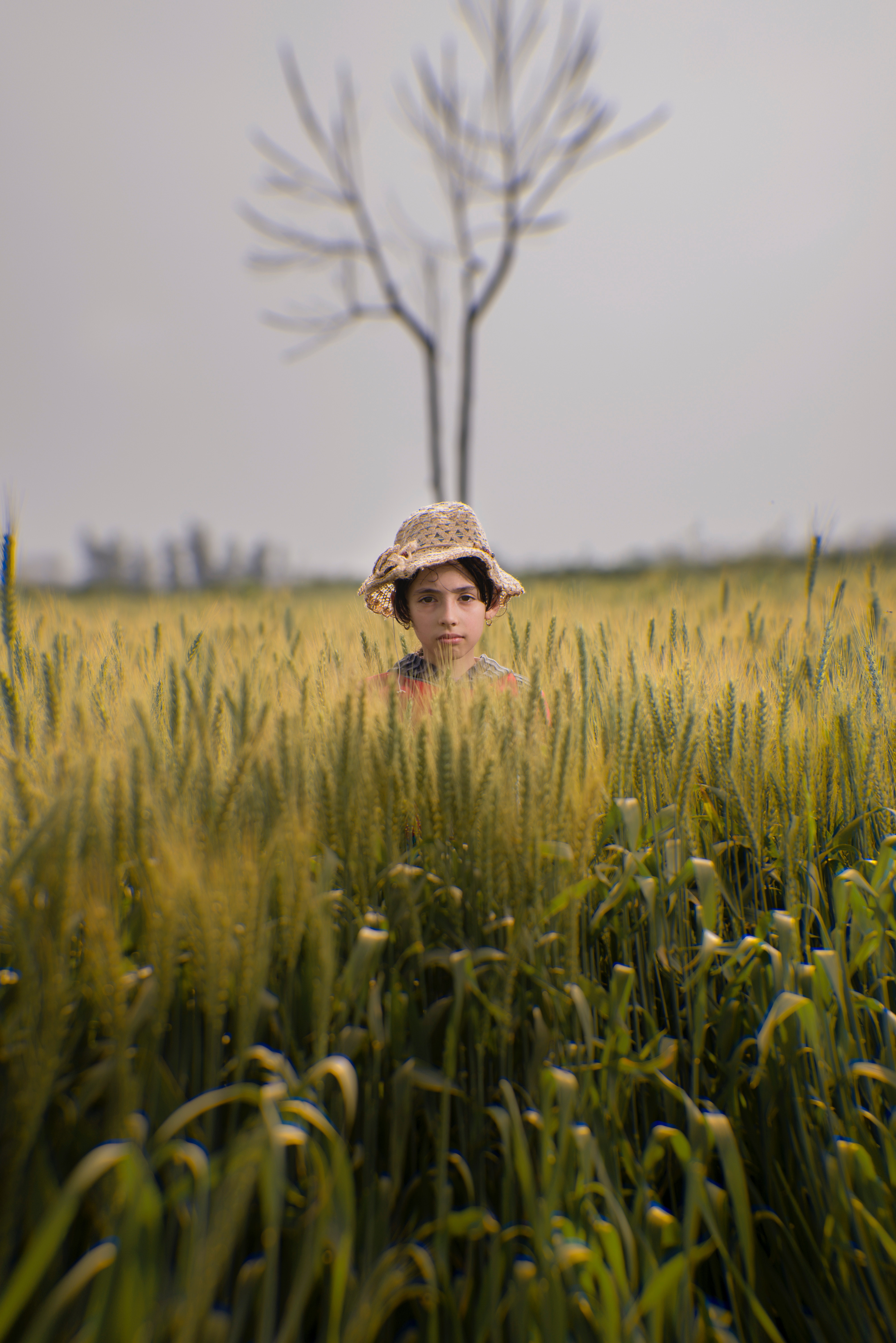 Toddler wearing brown hat in the middle of green field photo