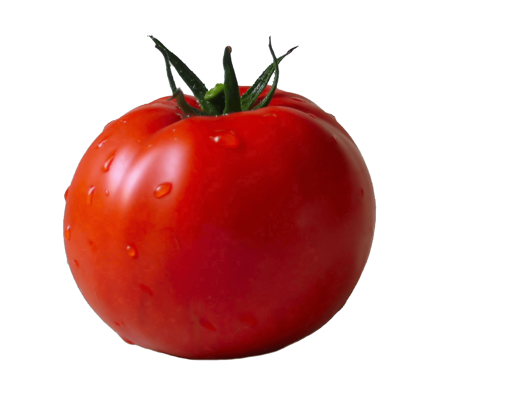 Tomato transparent PNG - StickPNG