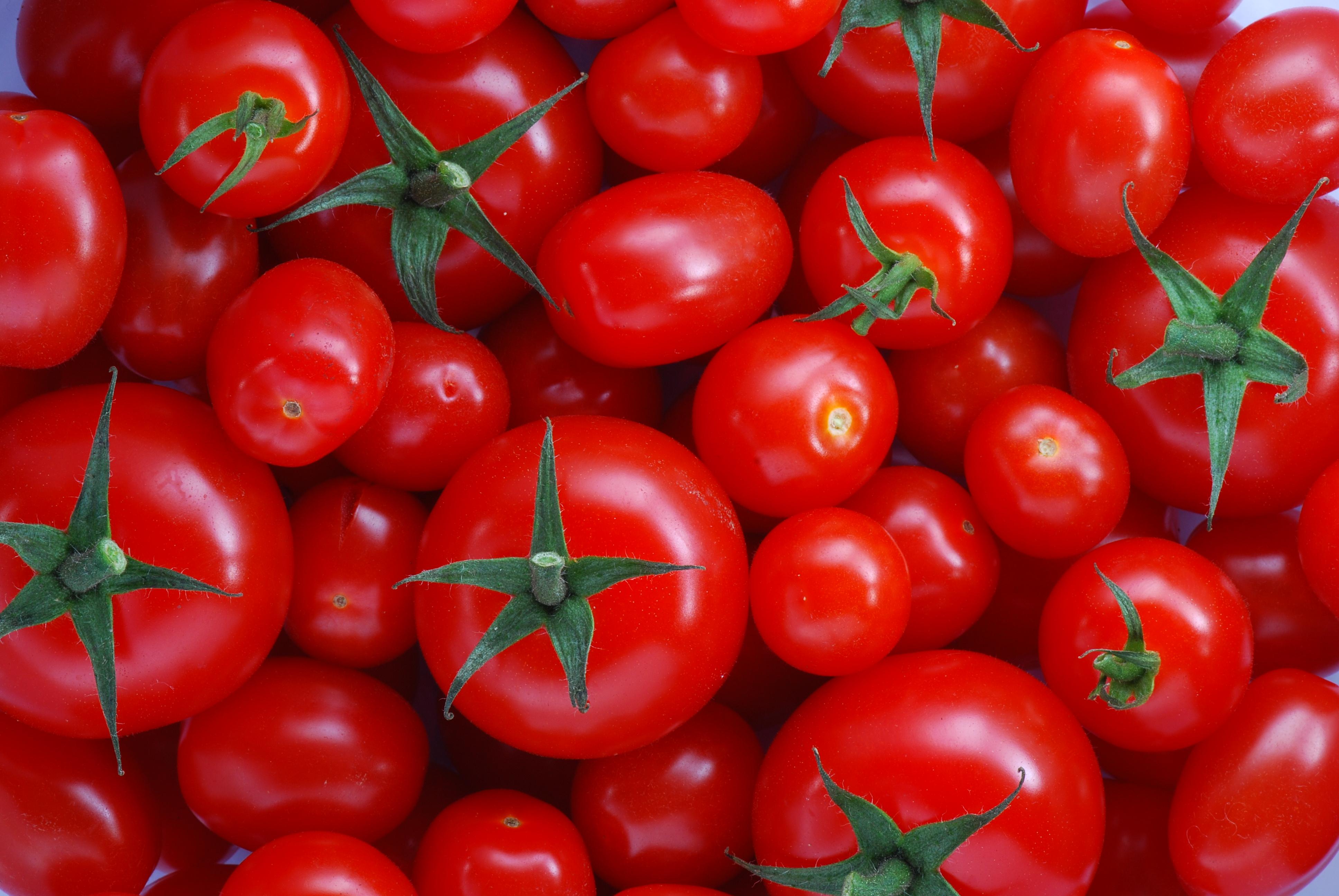 File:Flash-lit macro Tomatoes.jpg - Wikimedia Commons
