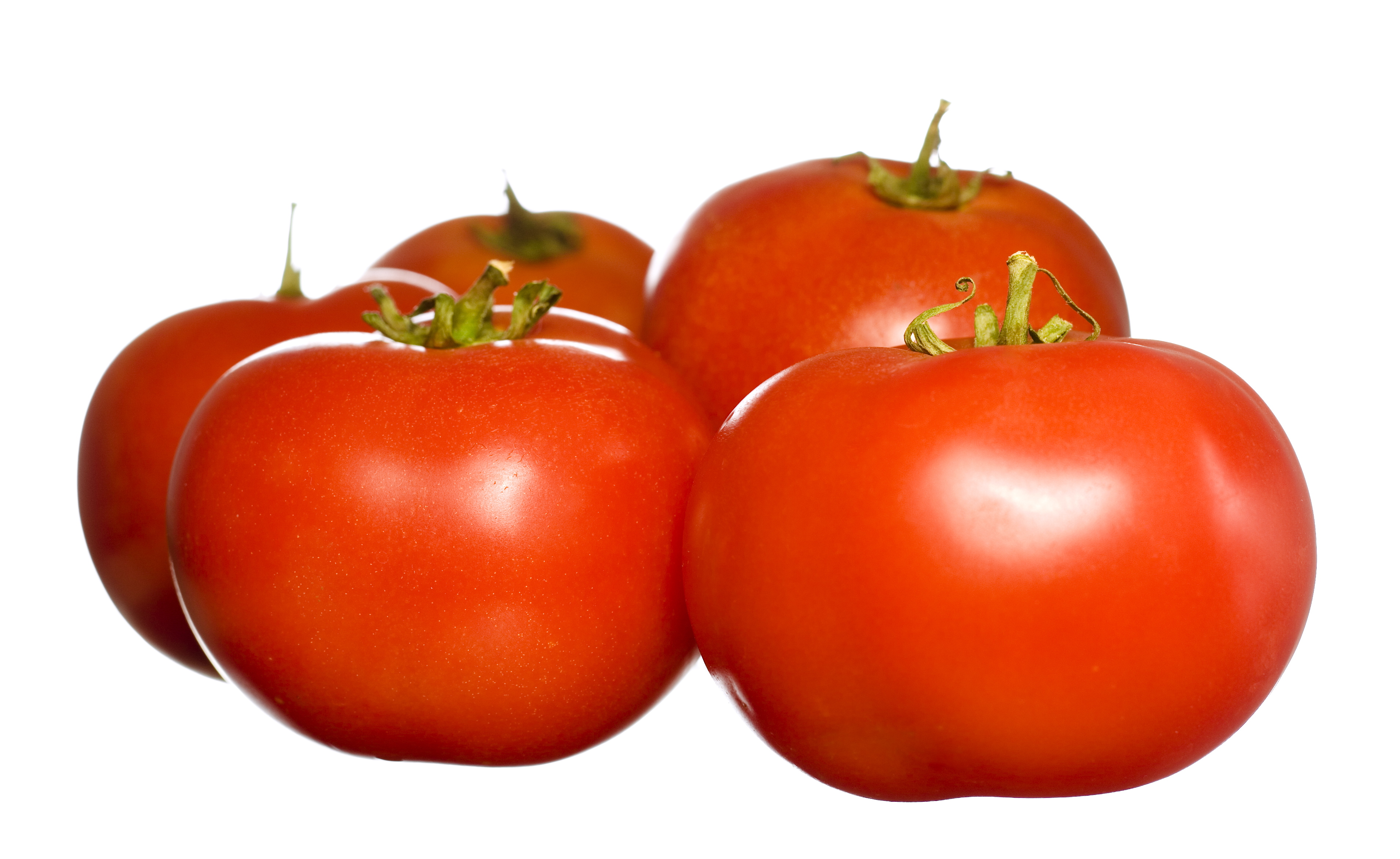 tomatoes, Close-up, Juicy, Vegetable, Snack, HQ Photo