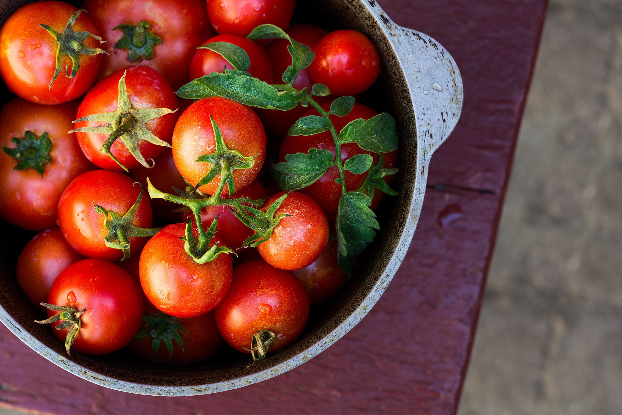 10 Tips for Growing Great Tomatoes