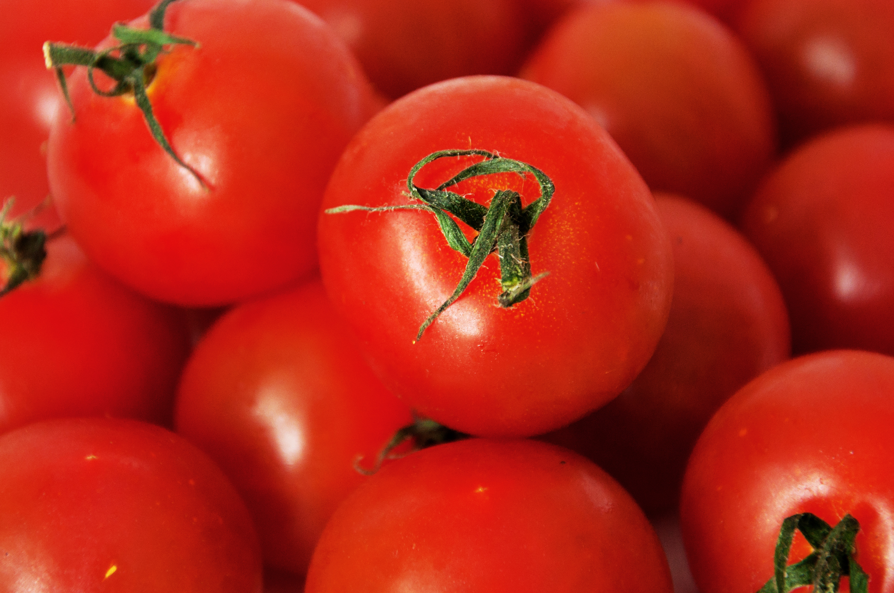 Tomatoes, Cherry, Health, Vegetable, Tomatoe, HQ Photo