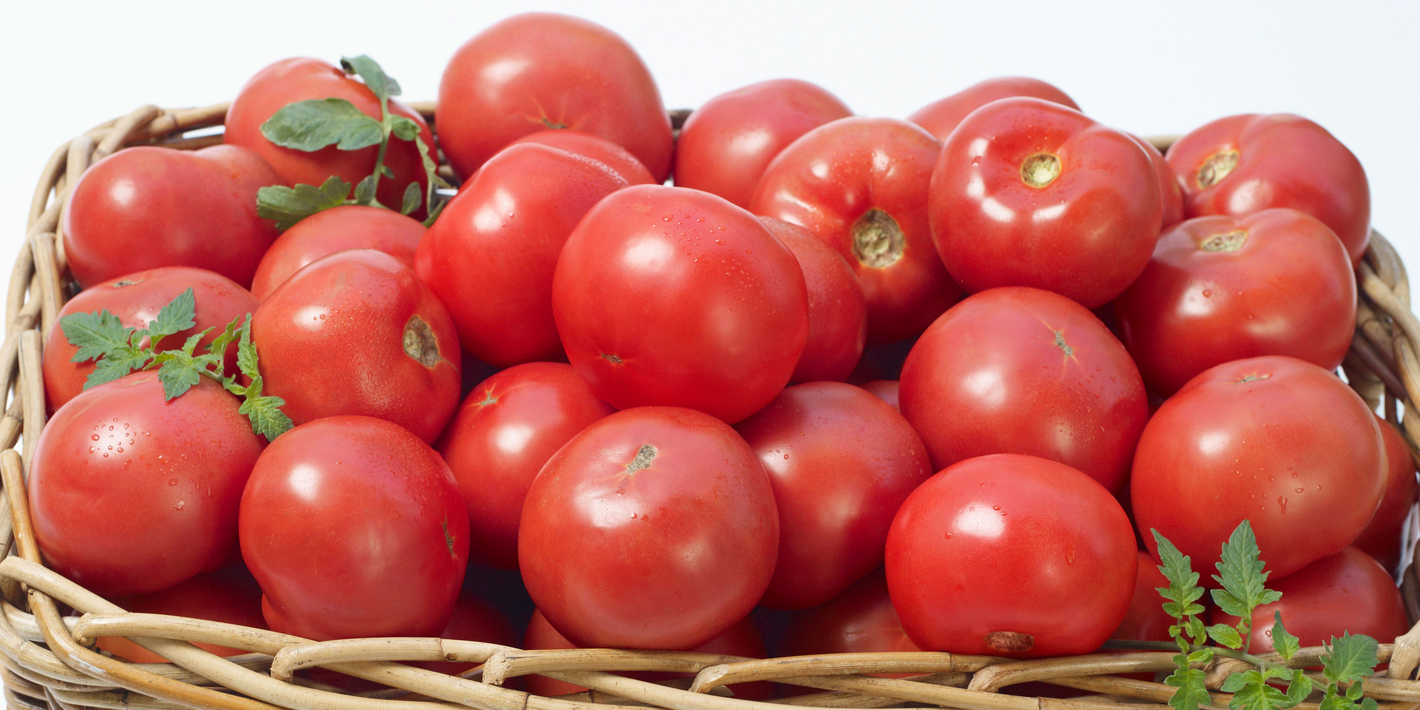 Florida Tomato Committee