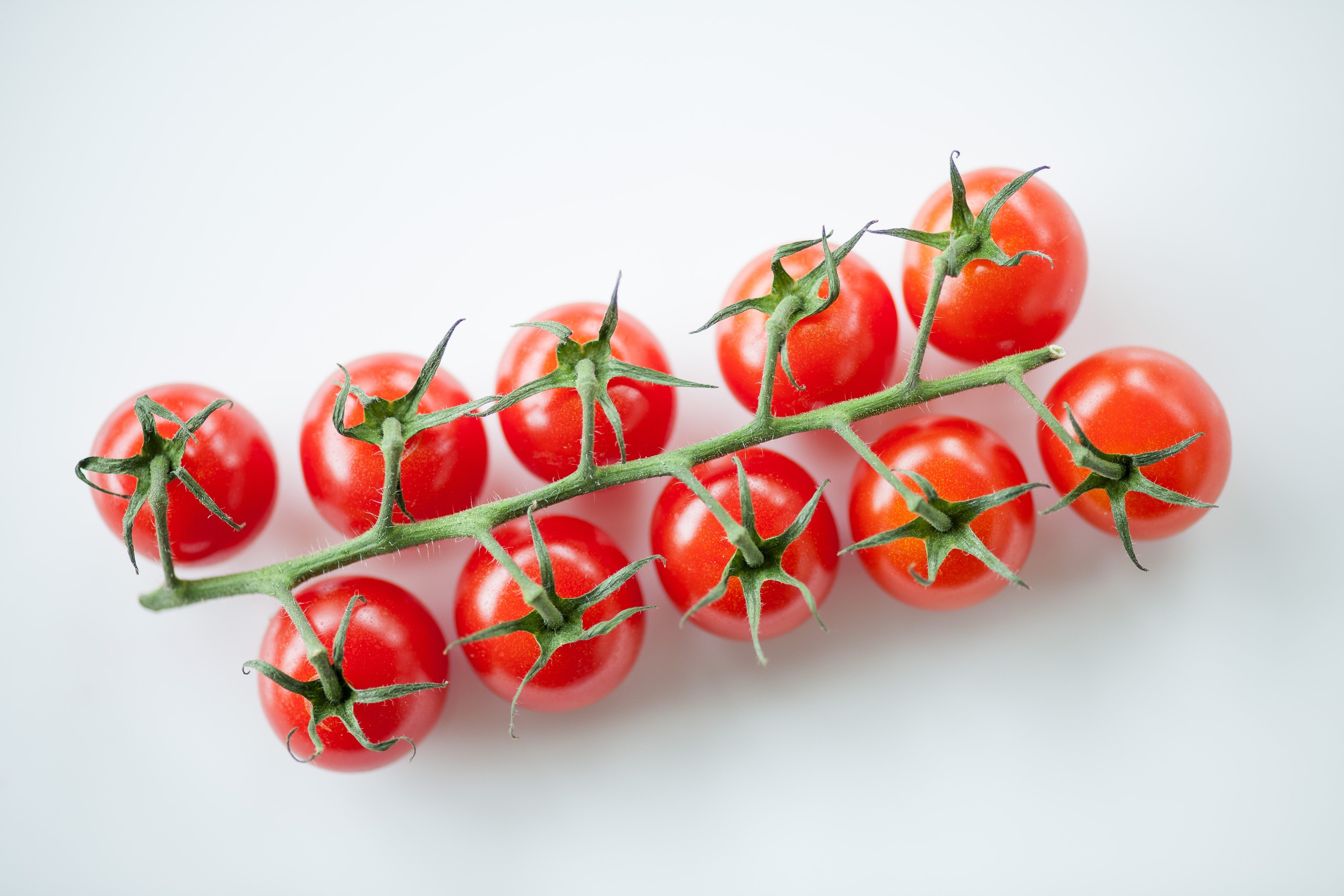 Balsamic Tomato Canapé Recipe - Great British Chefs