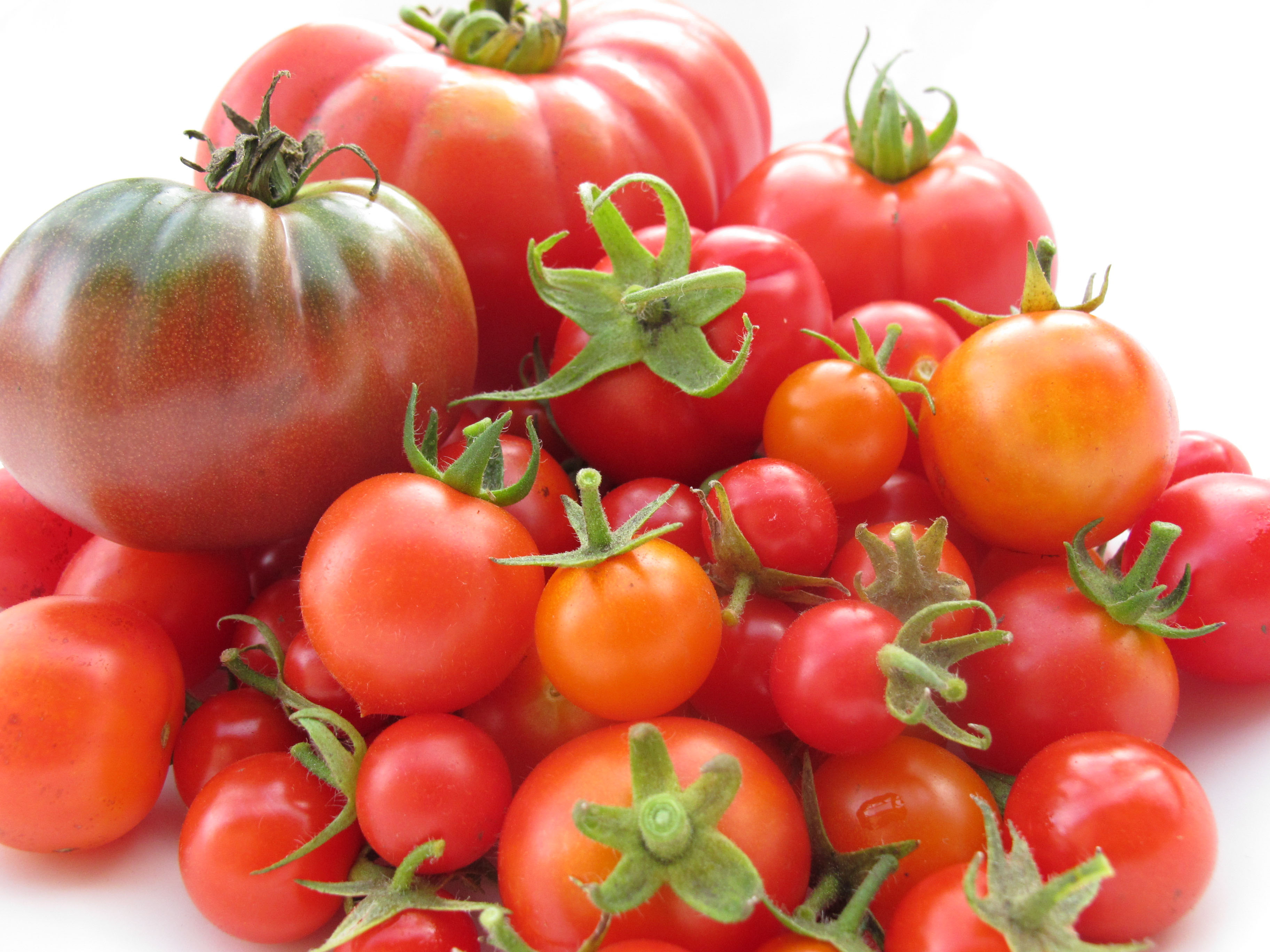 Tomatoes: The Secret Recipe - NACD