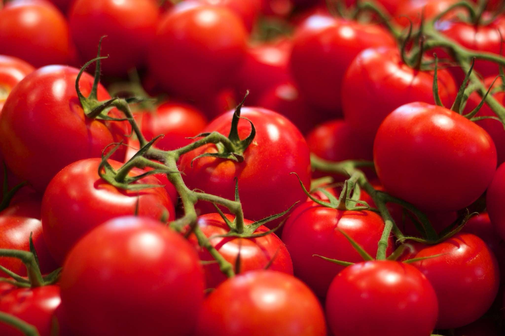 Recipe for Tomato Jam, a Sweet-Savory Preserves