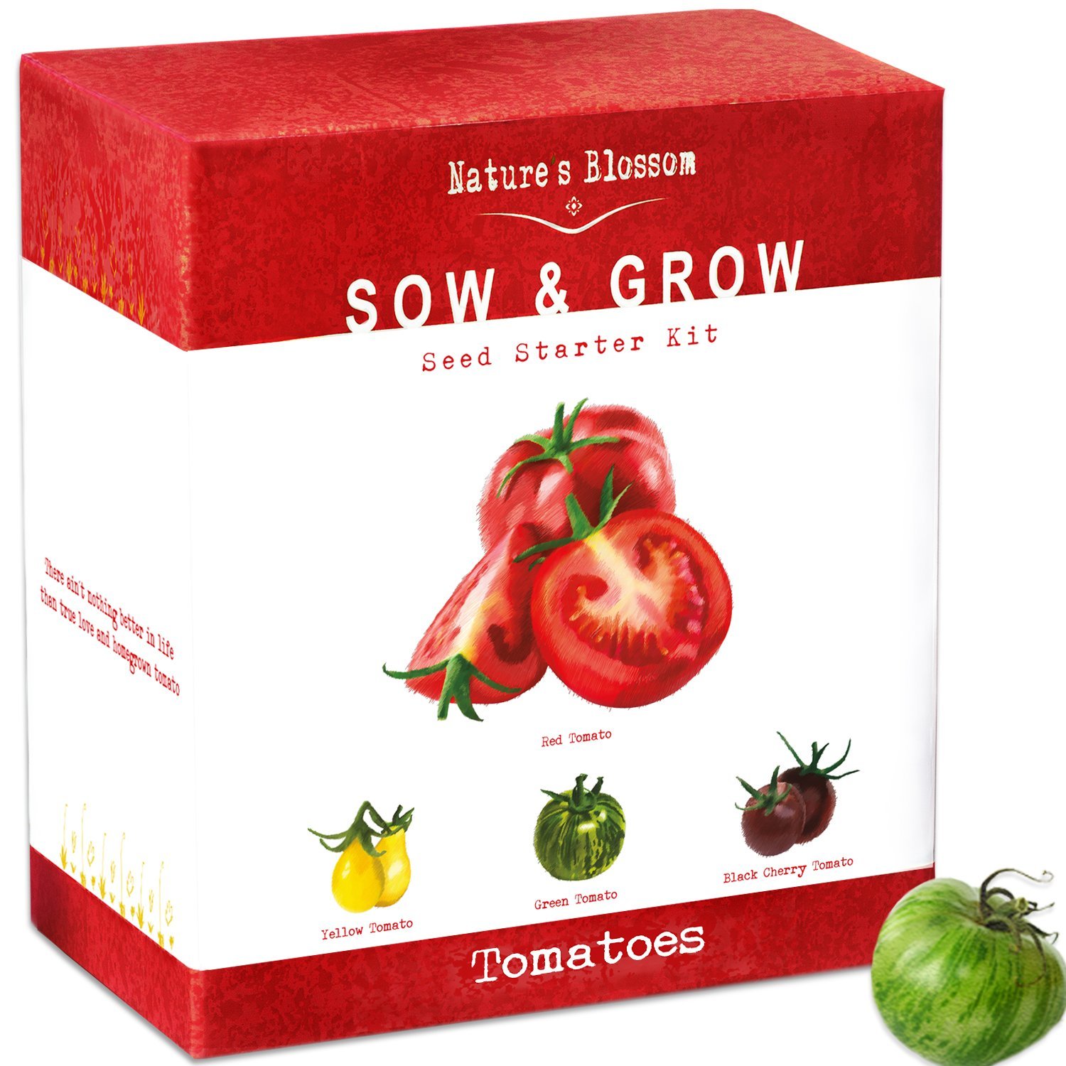 Amazon.com : Grow 4 Types Of Tomatoes From Seed - Indoor Germination ...