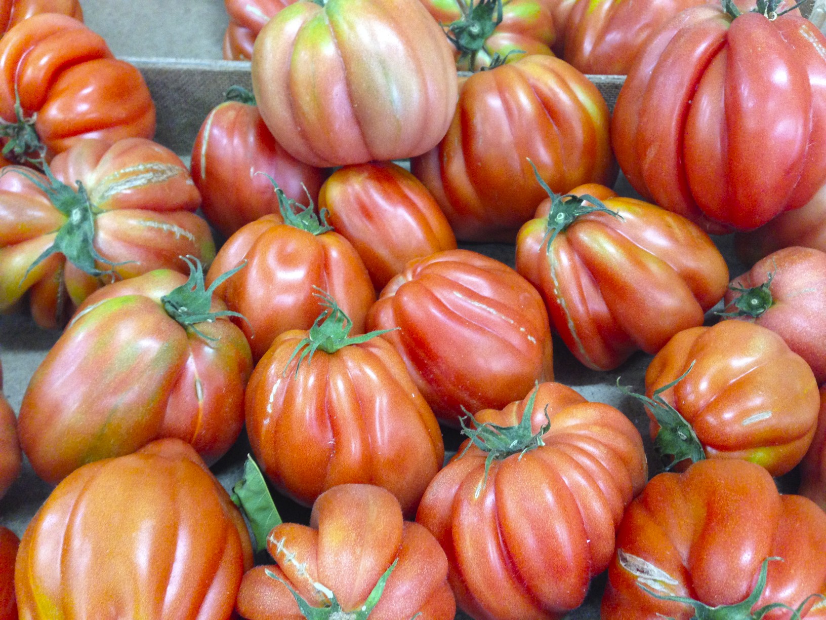 Tomatoes from Southern Italy - Sorrento Food Tours