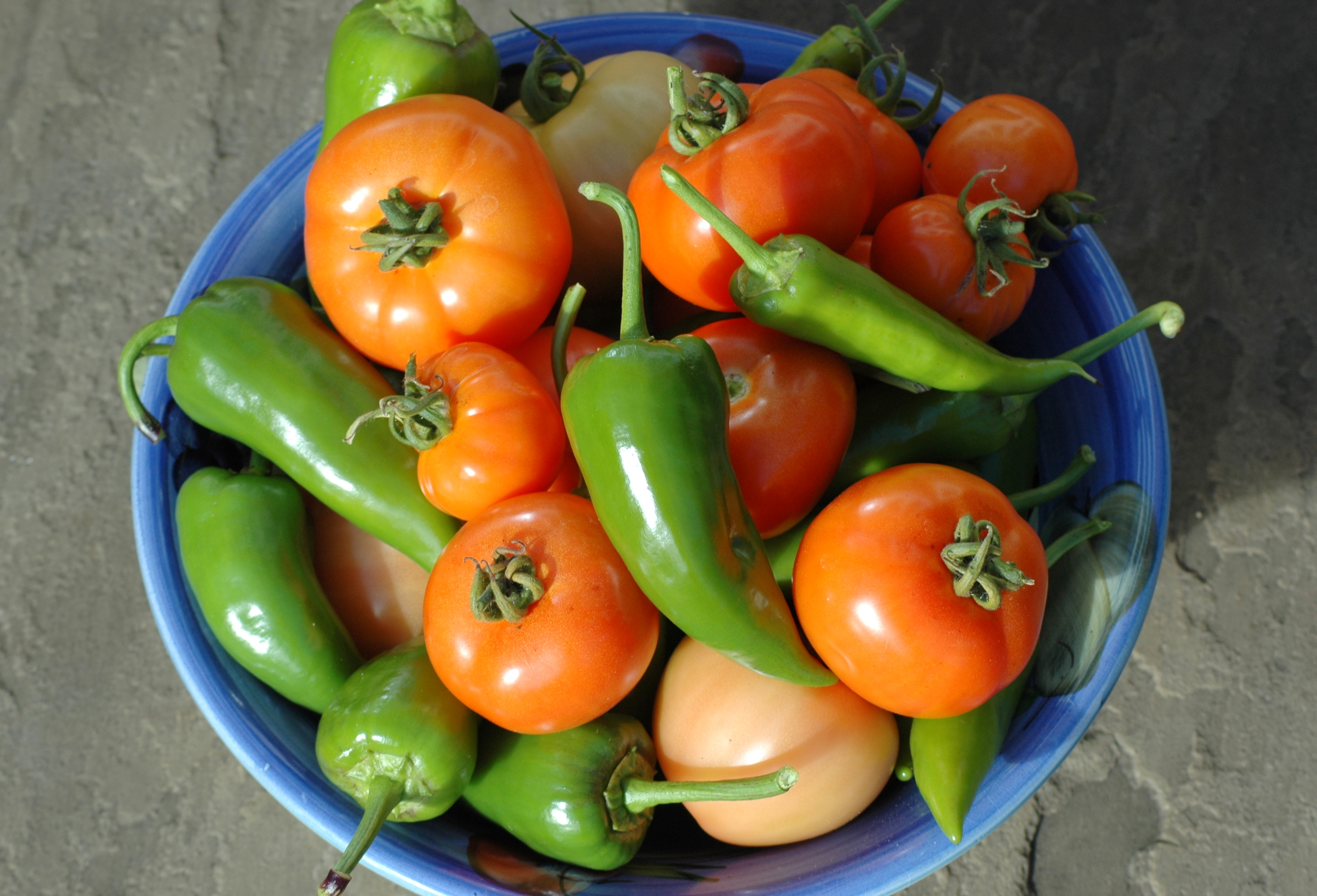 Garden Posts | Tomatoes & Peppers