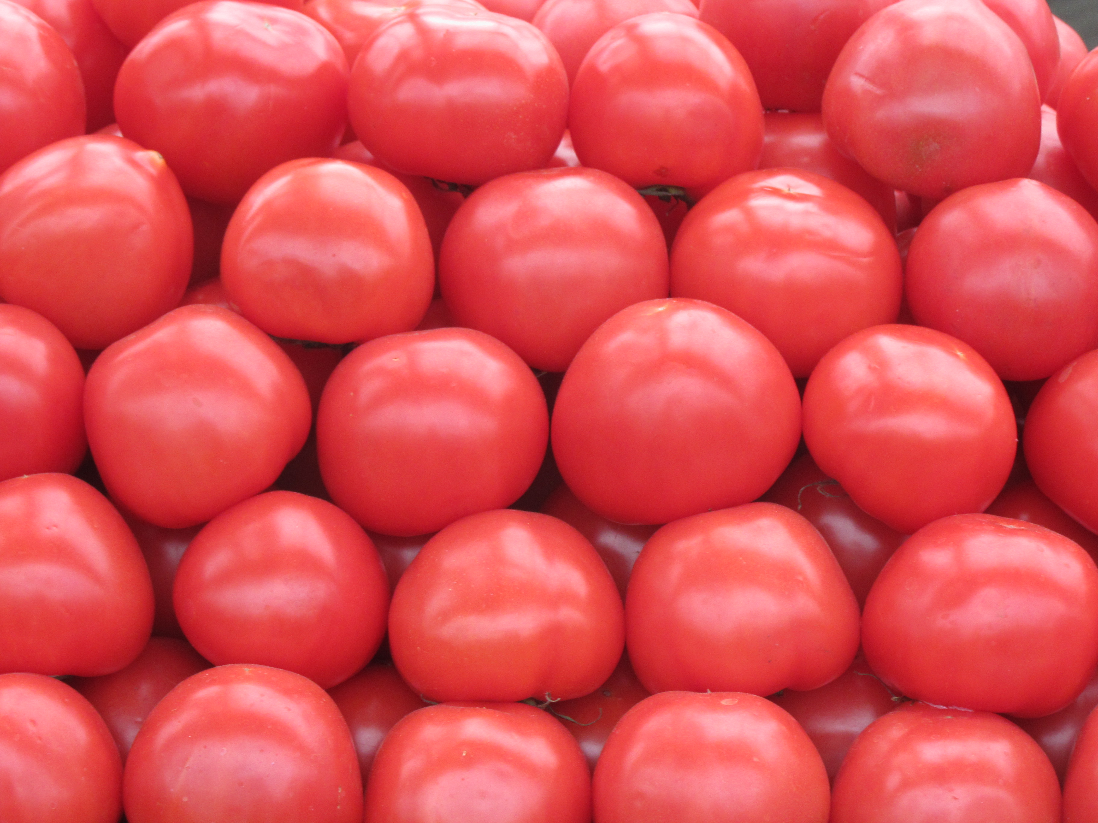 Tomatoes at the market photo