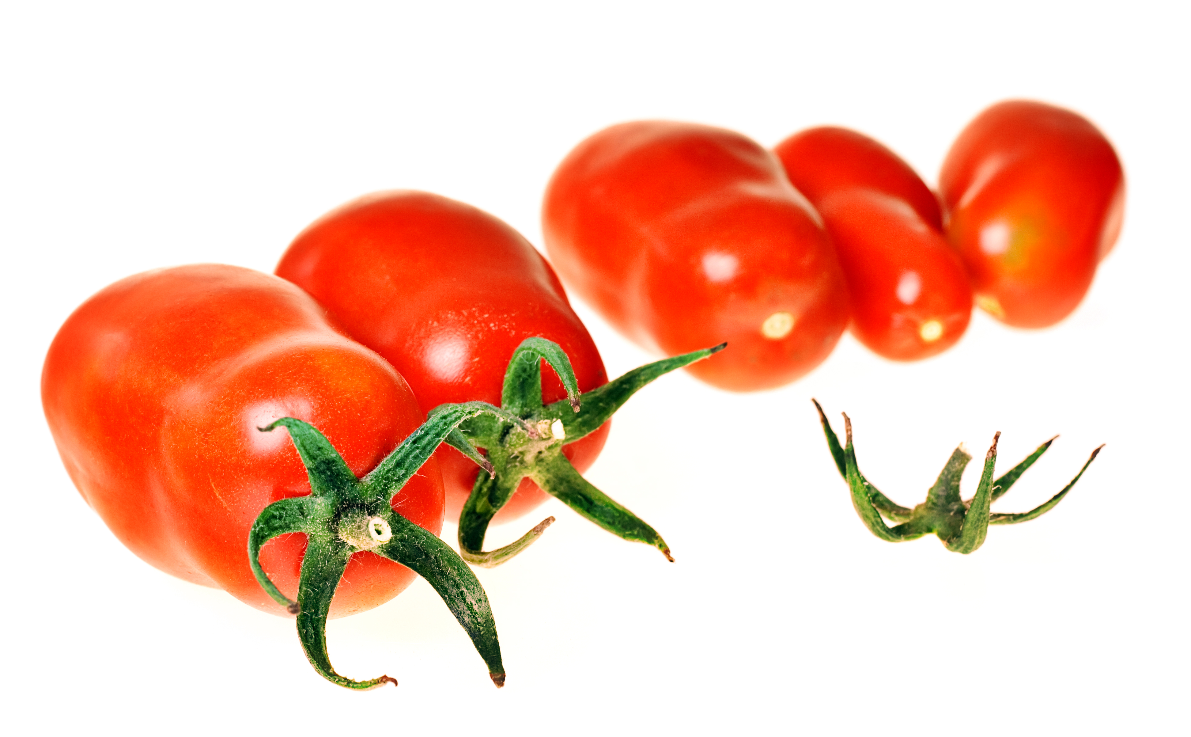 Tomatoes - healthy eating photo