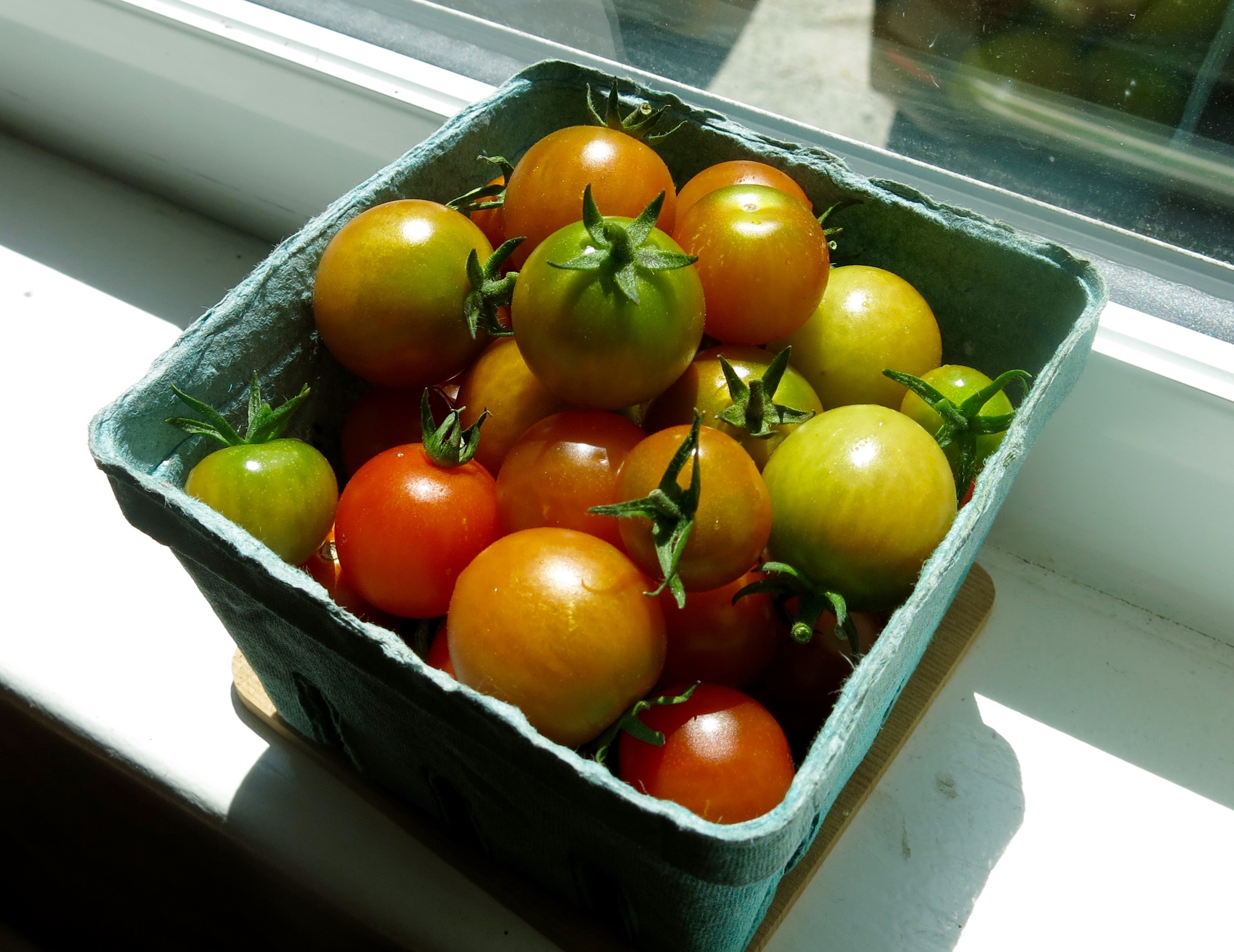 tomatoes | Nest and Sparkle