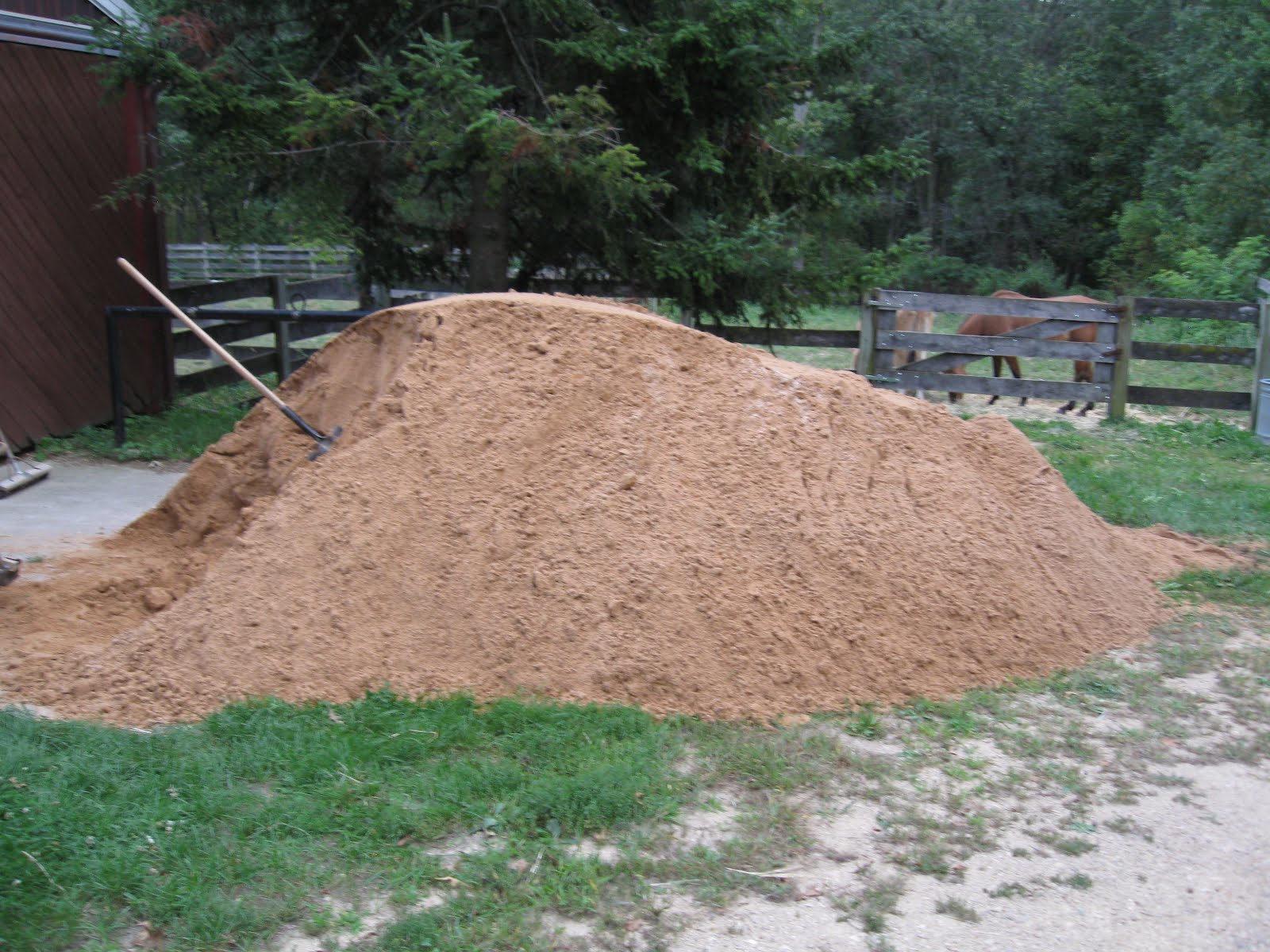 Got Sand???? Why Yes... Maybe Too Much!! - HS Blog