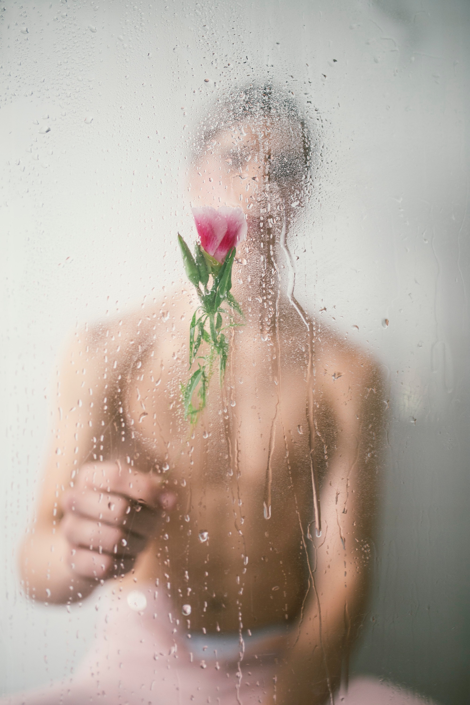 Topless man holding red rose photo