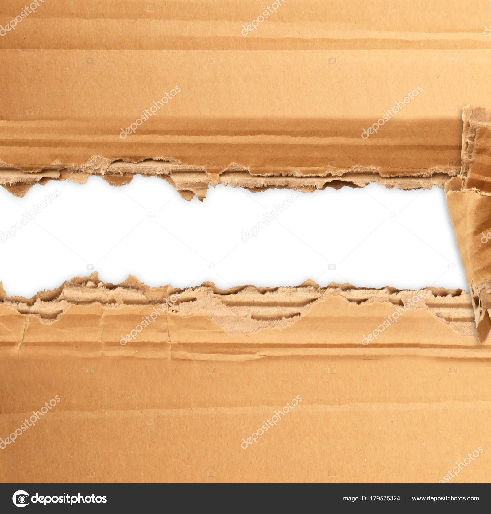 torn cardboard for writer project — Stock Photo © Photobeps #179575324