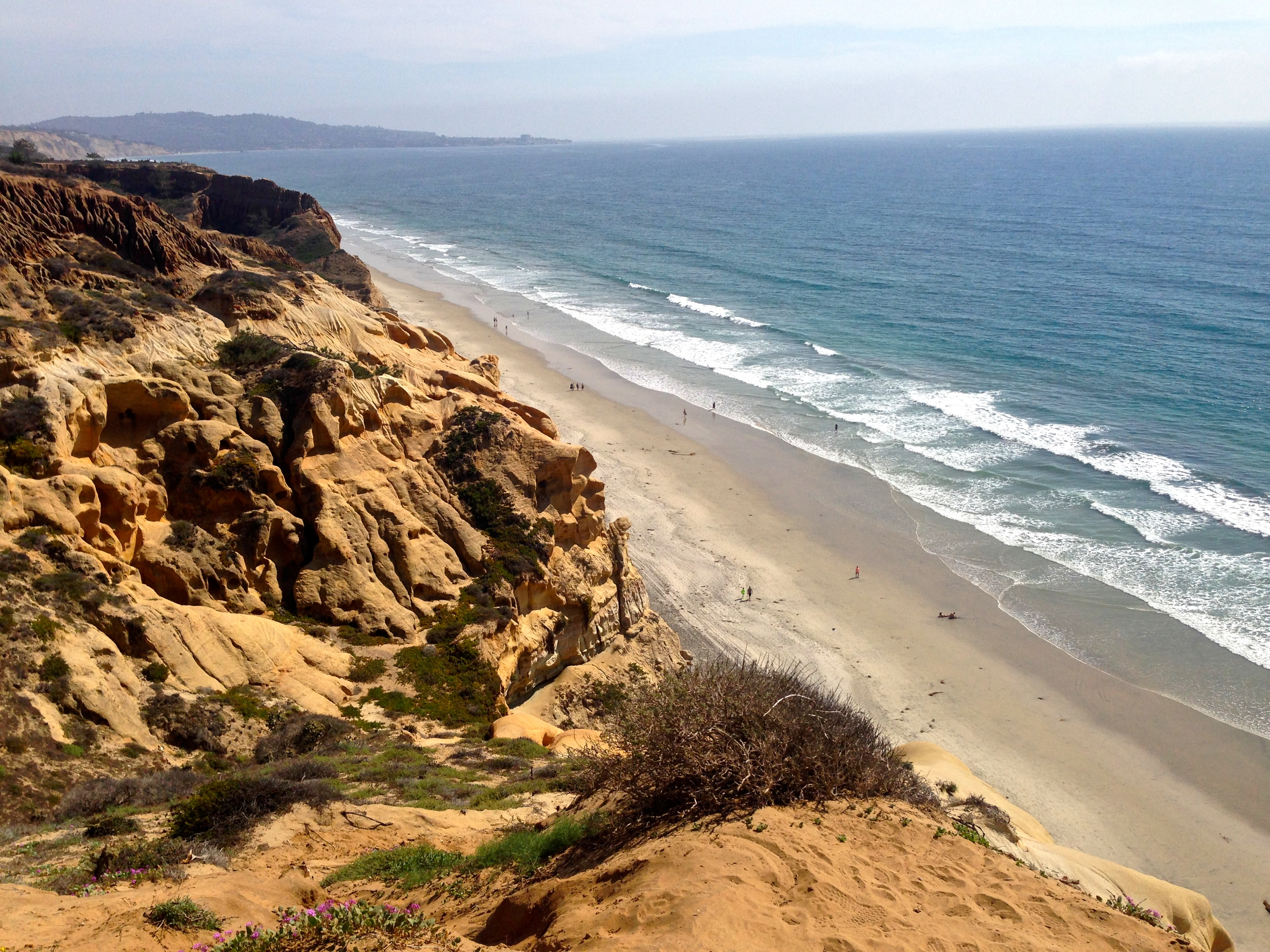 Torrey Pines State Beach | Fit To Wander