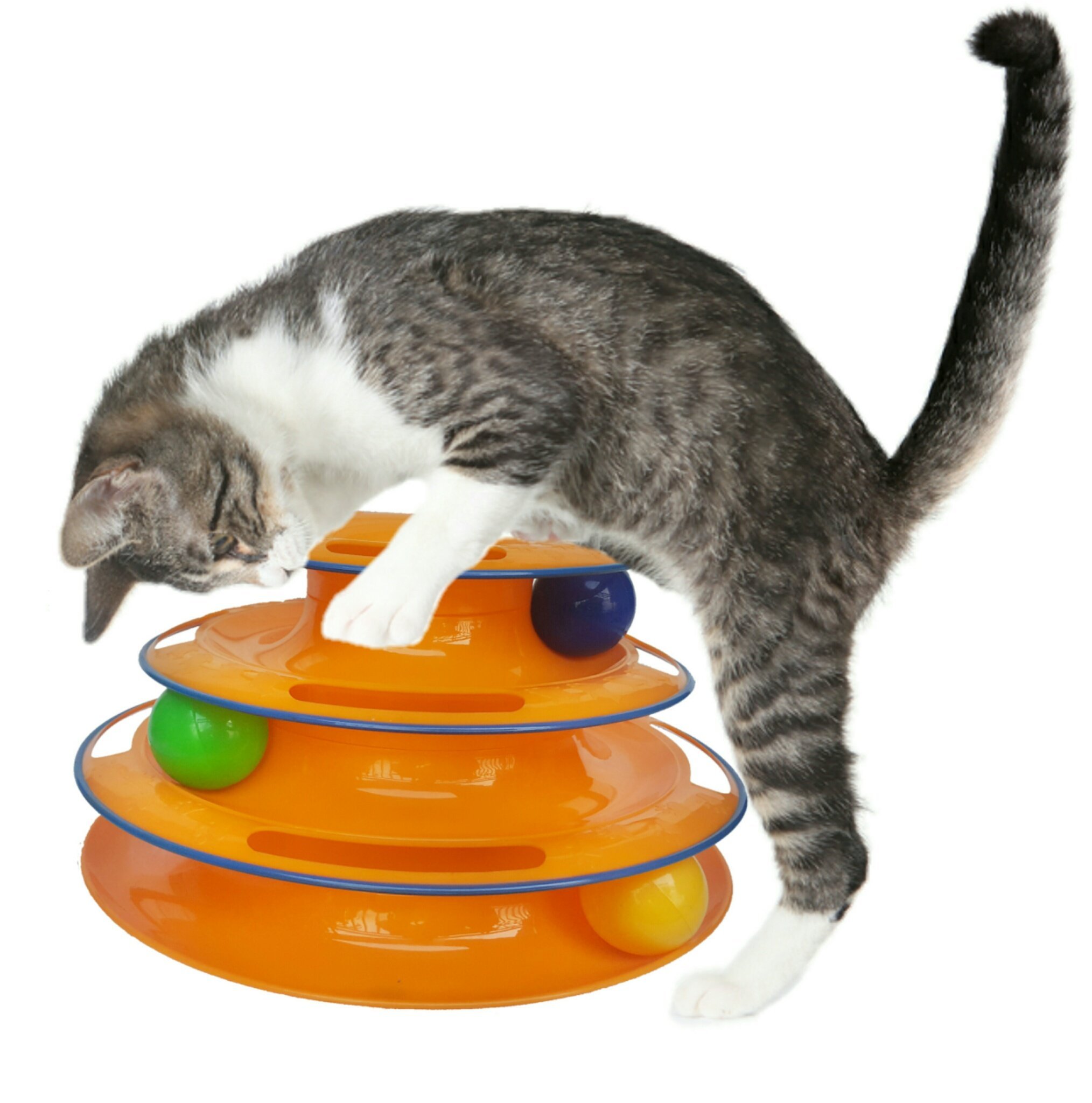 Interactive Track Ball Cat Toy - Mr. Peanut's