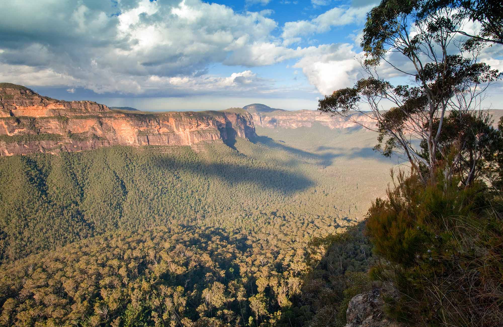 School excursion: Grand Canyon walking track | NSW National Parks