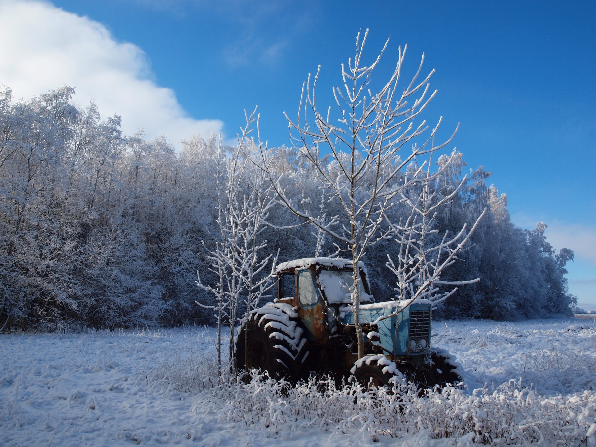 winter the field tree tractor landscape nature HD wallpaper