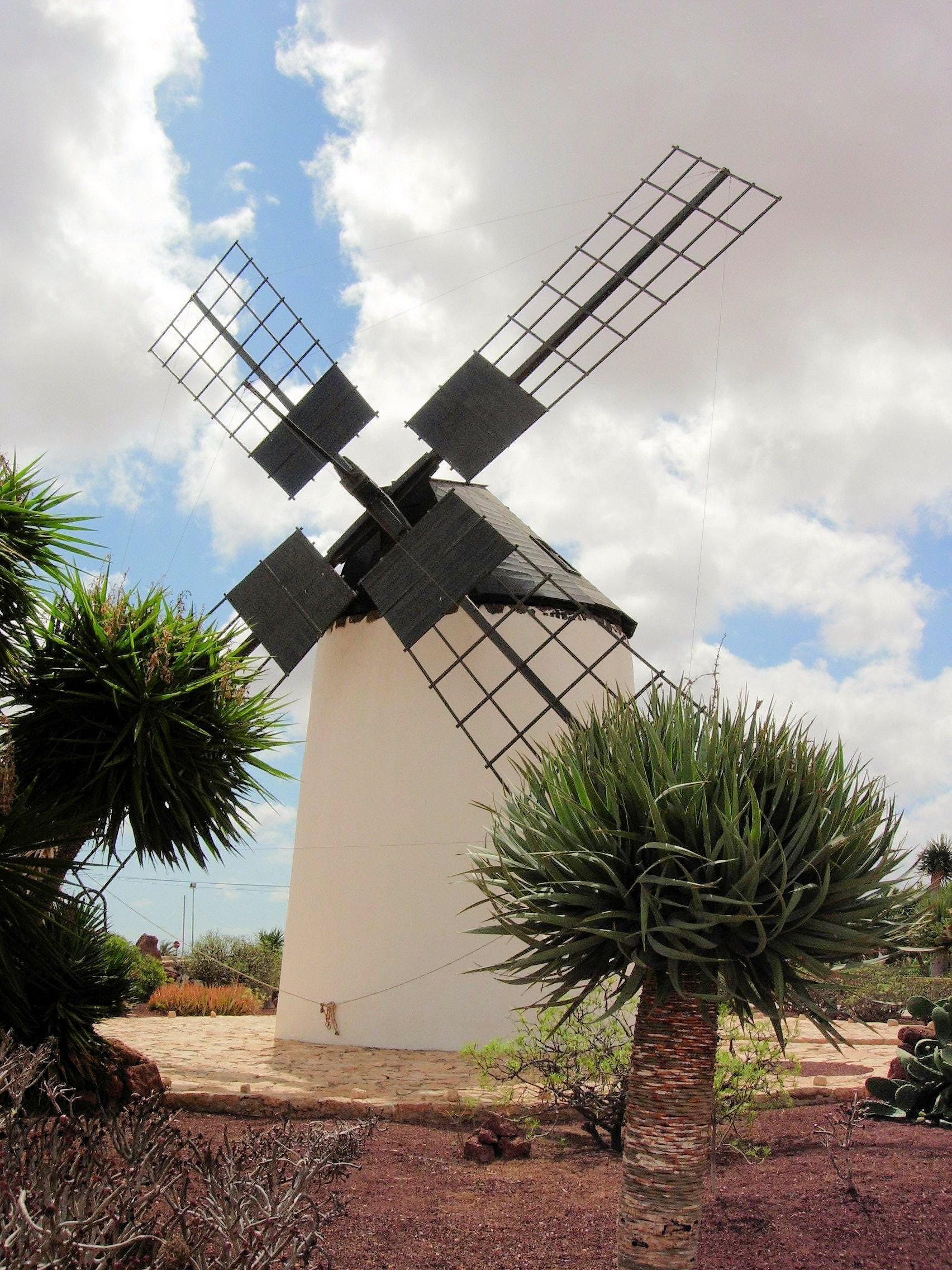 Traditional windmill in fuerteventura photo