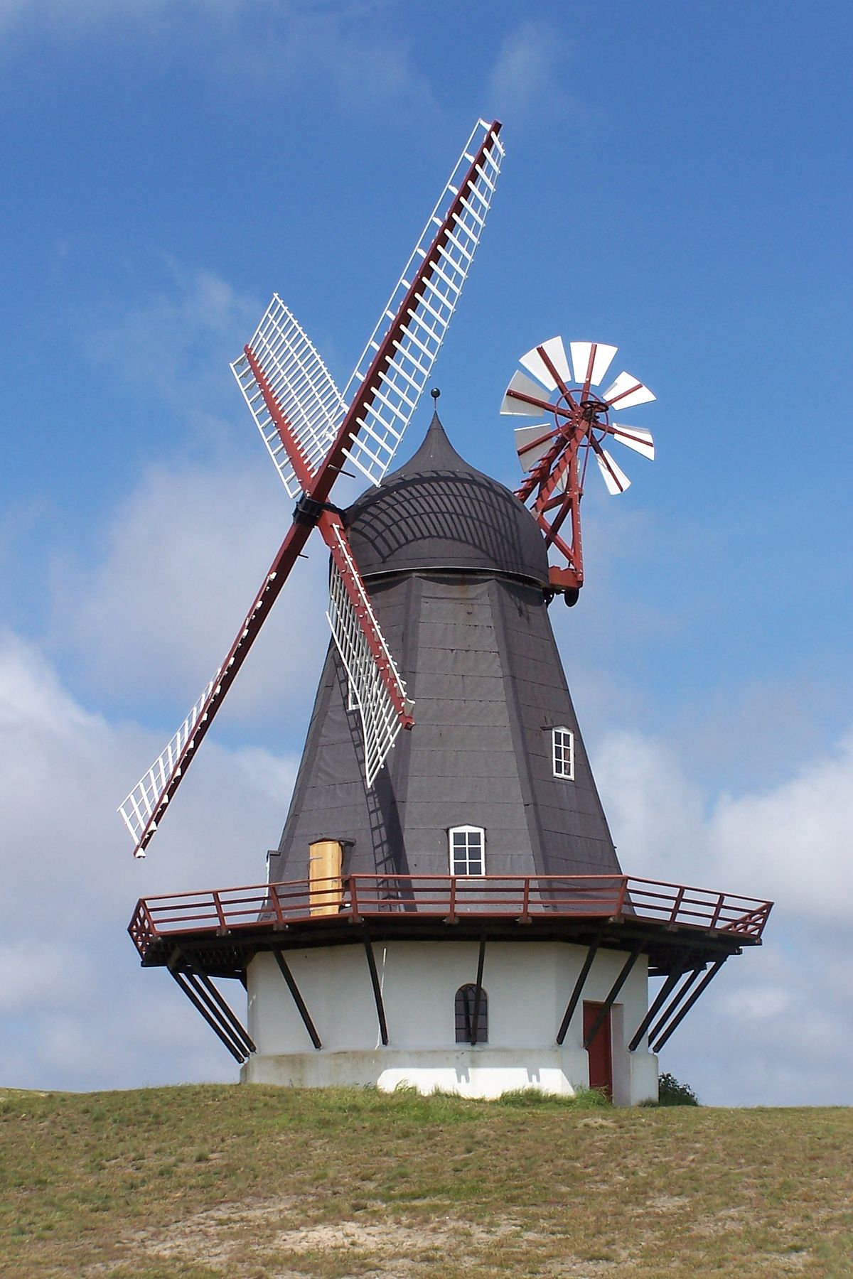 Windmill fantail - Wikipedia