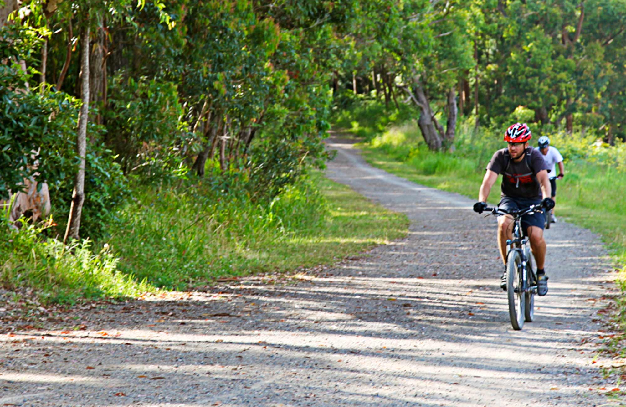 Mountain biking trails | NSW National Parks