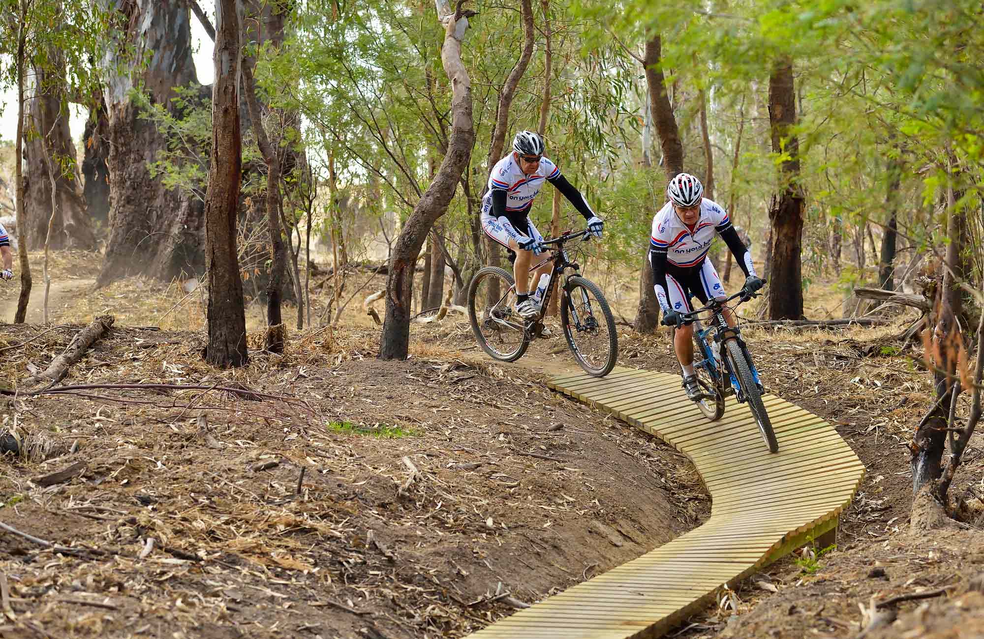 Five Mile mountain bike trail | NSW National Parks