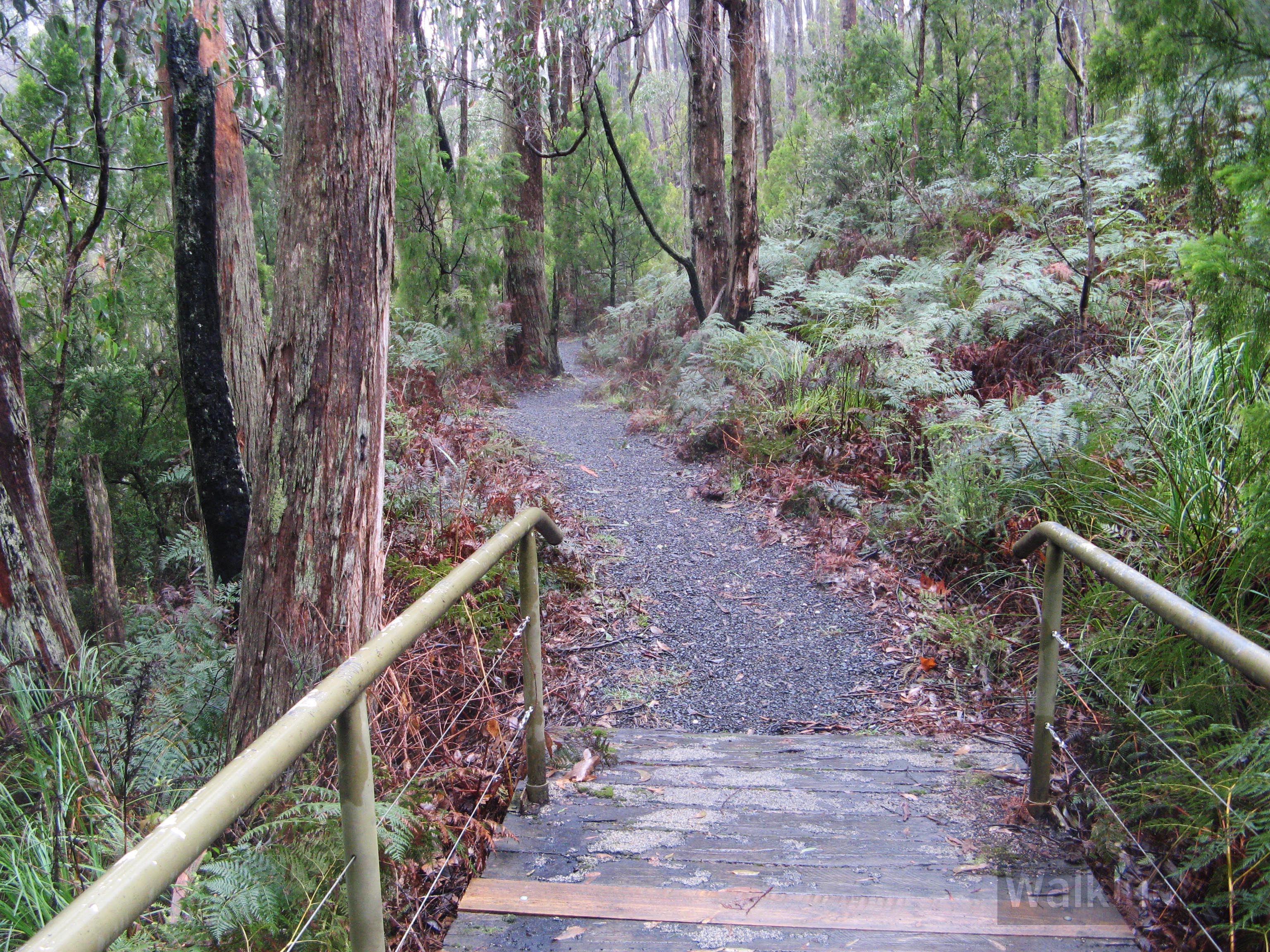 Nature Trail, Mt Lofty Botanical Gardens | Find a Place to Walk