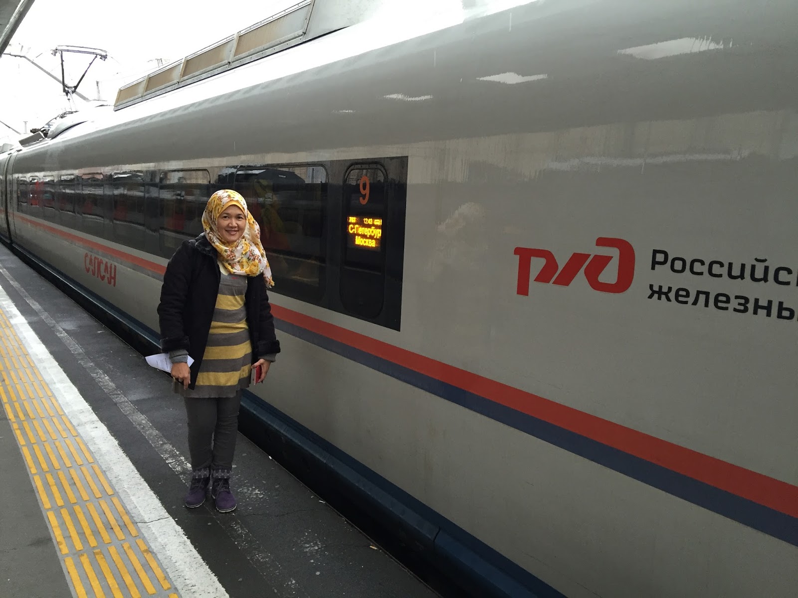 aswana-cliche: Train Ride 2015 - St Petersburg to Moscow with Sapsan ...