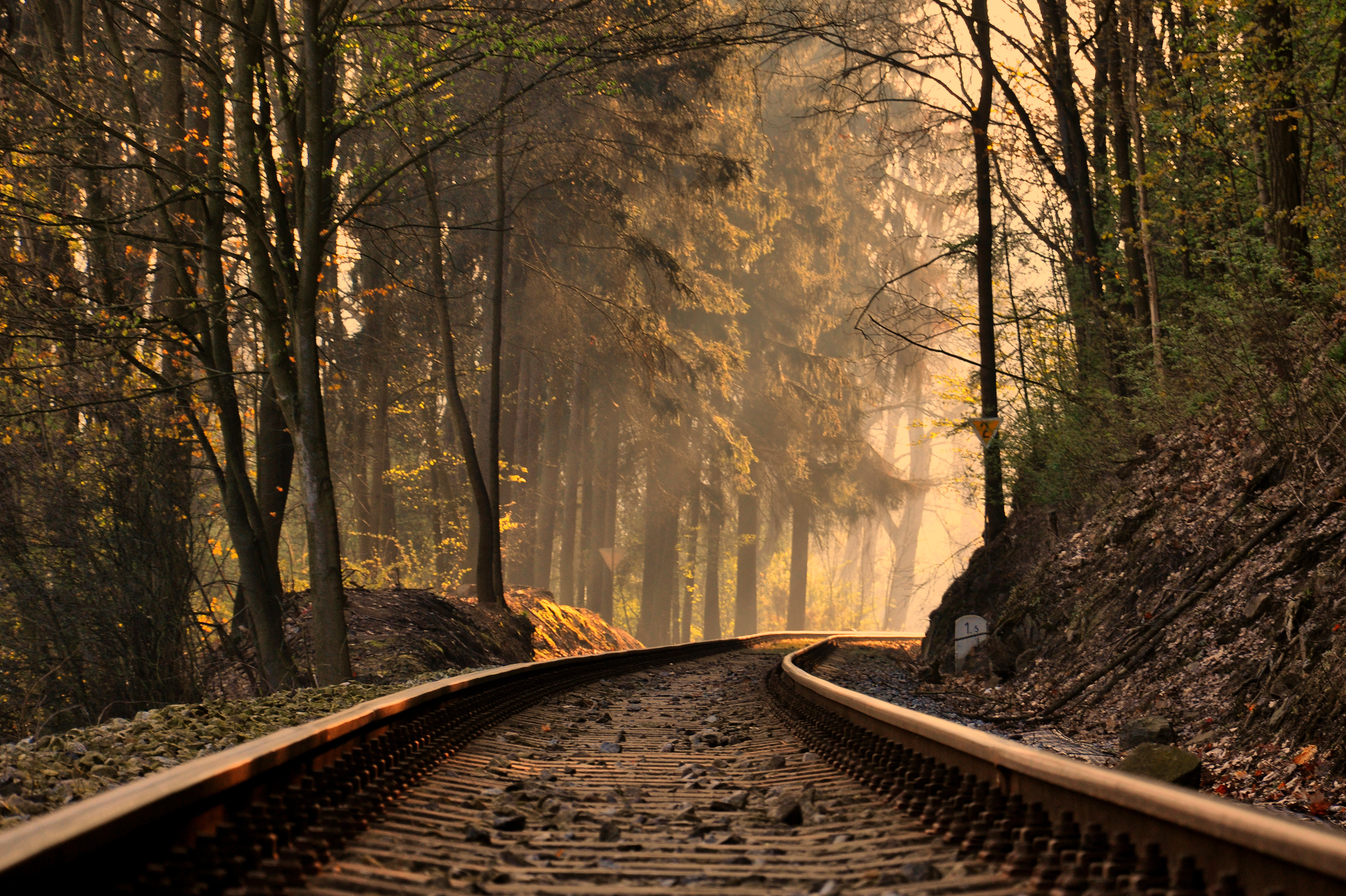 Autumn railway / 3602 x 2398 / Other / Photography | MIRIADNA.COM
