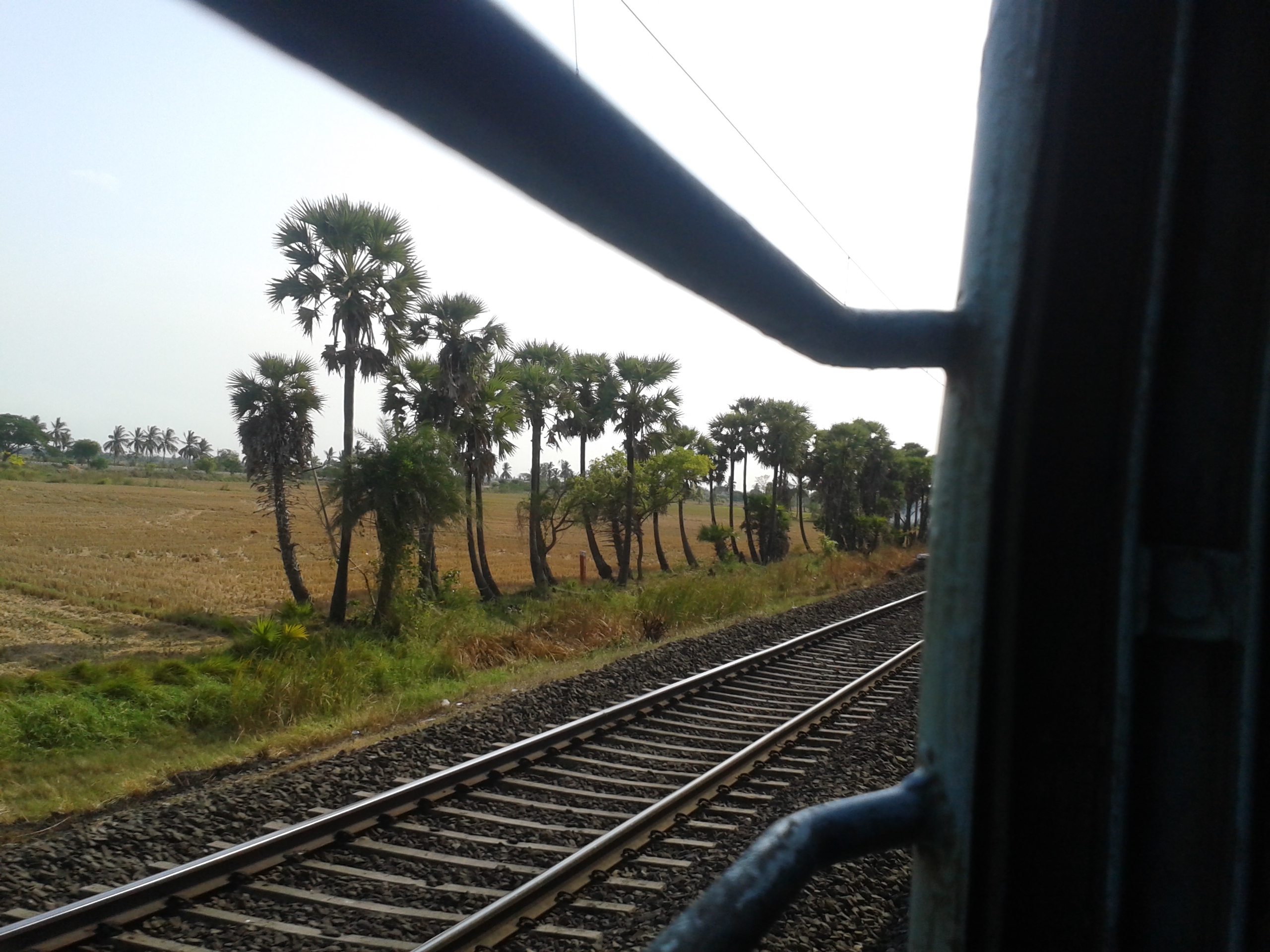 Train track photo