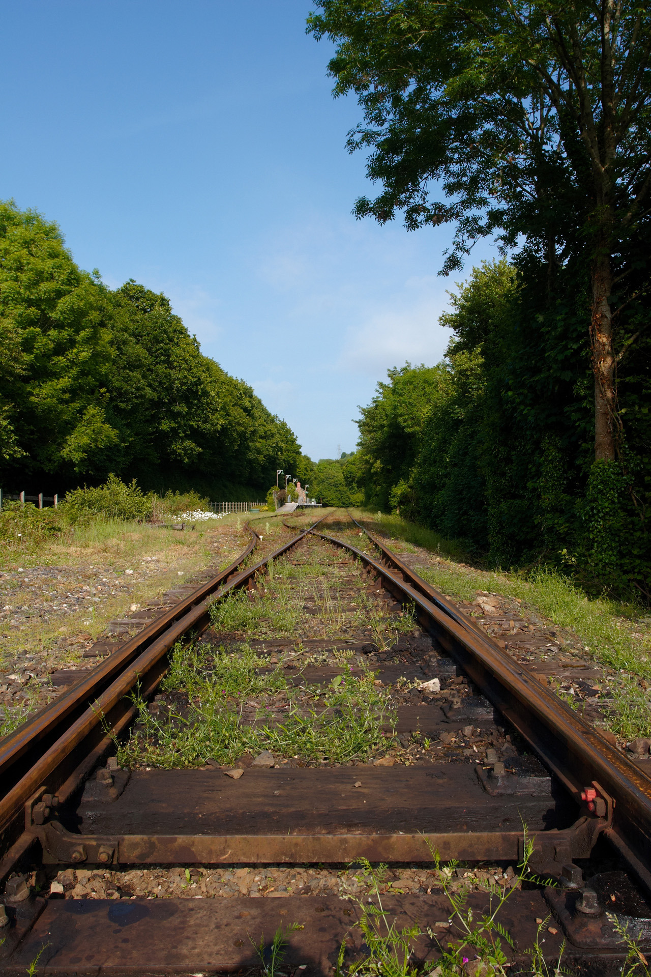 Old train tracks at Boscarne Junction, near Bodmin | Camel Trail ...