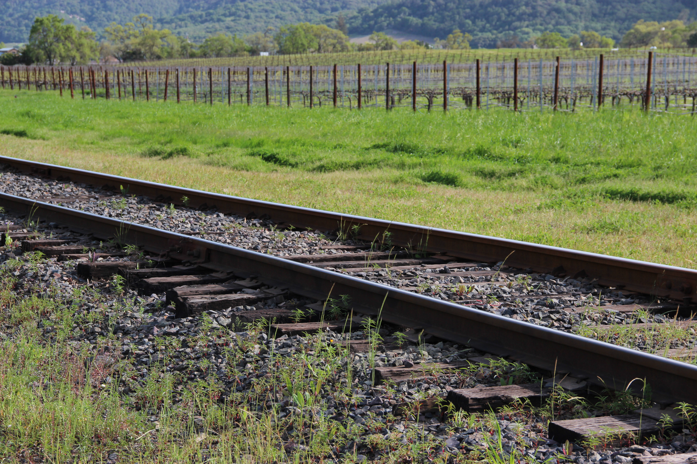 Free Stock Photo of Train Tracks by Vineyards