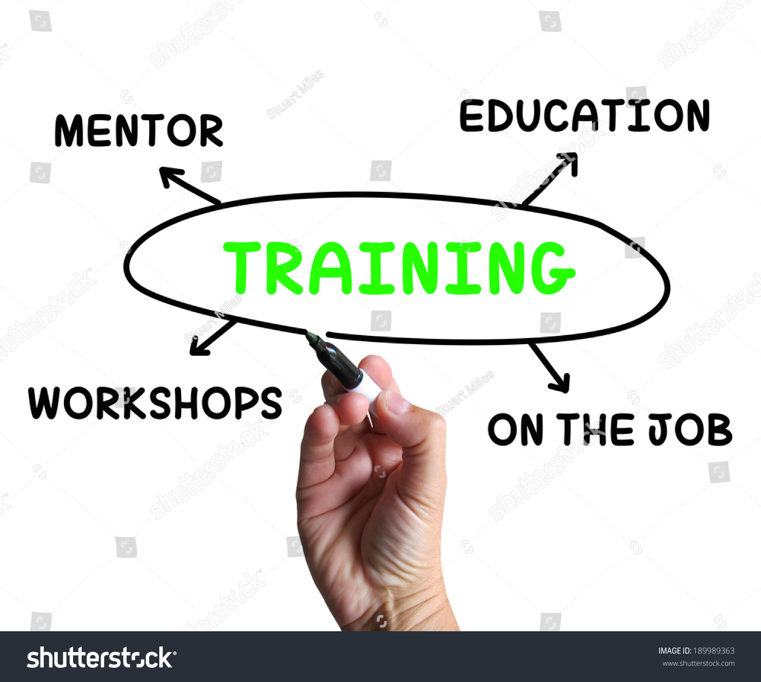 Training Diagram Showing Mentorship Education Job ภาพประกอบสต็อก ...