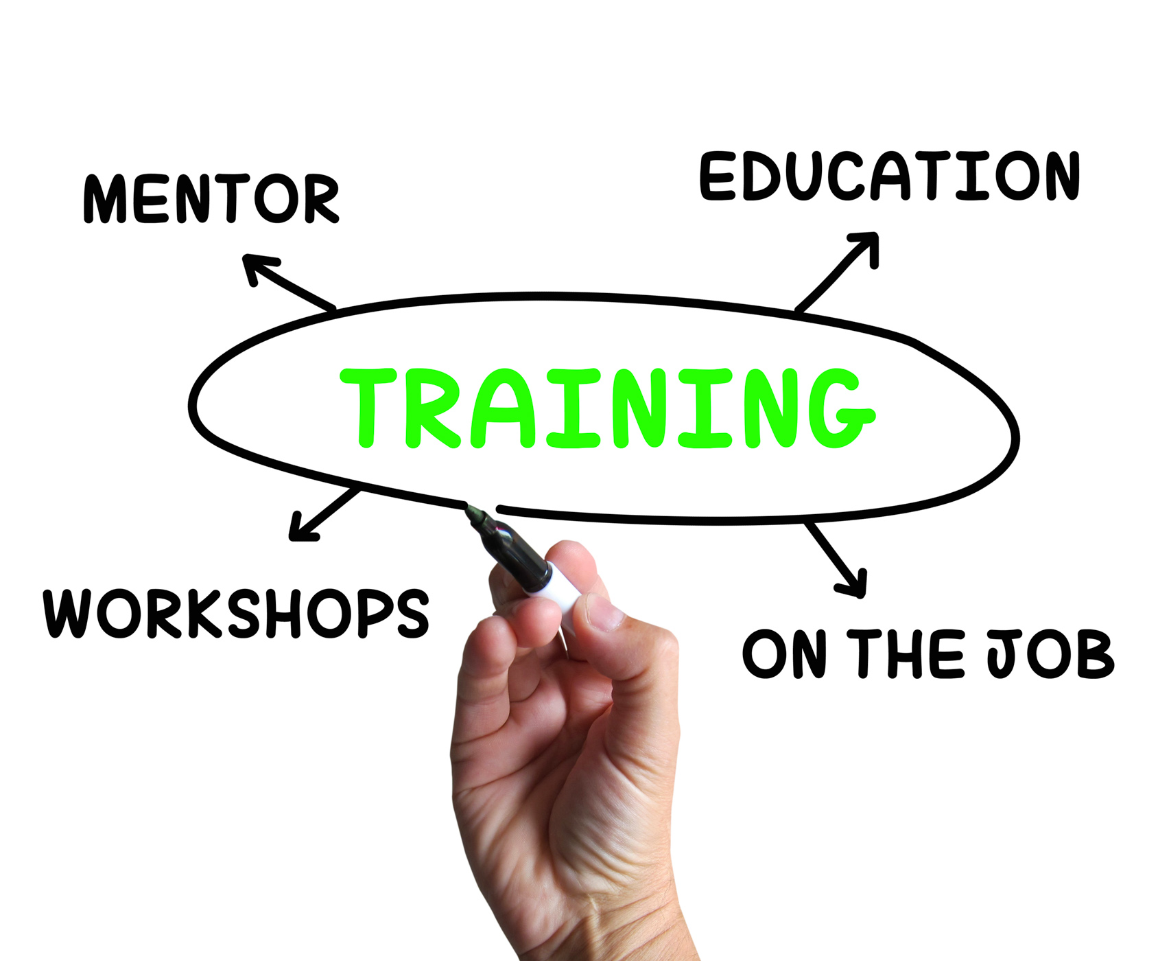 Training diagram shows mentorship education and job preparation photo
