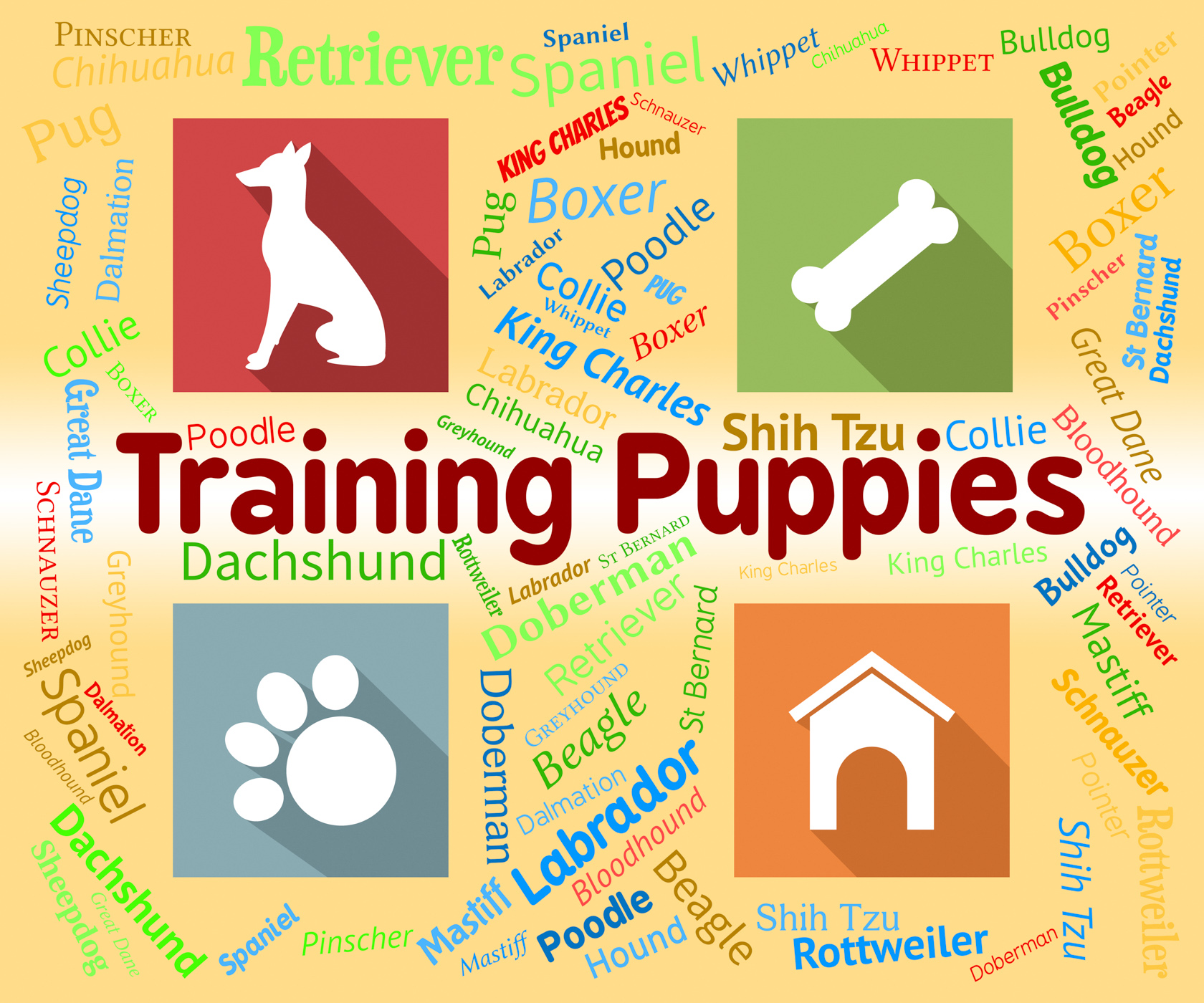 Training puppies represents instruction pedigree and pets photo
