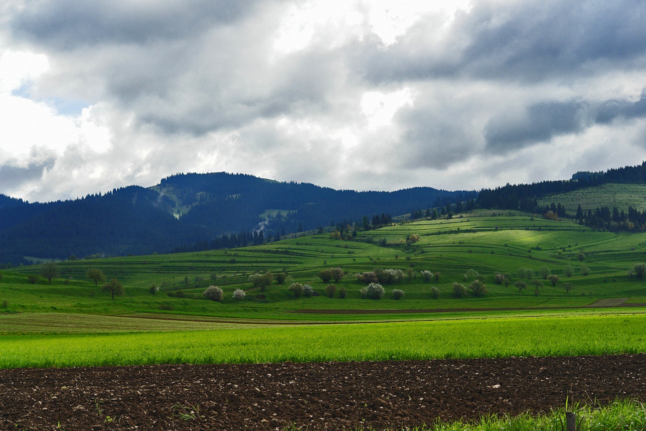 Transylvanian land ii. photo