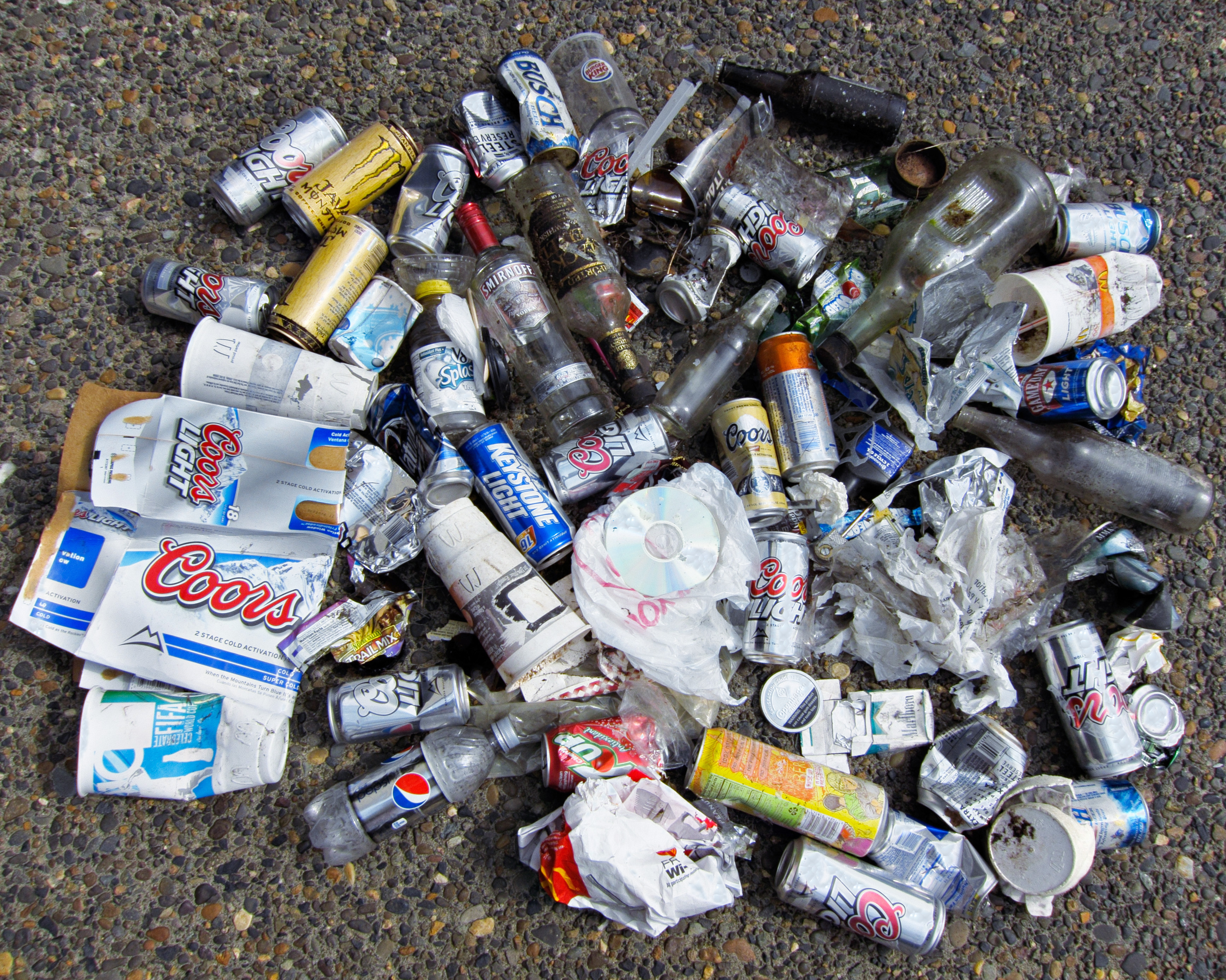 Roadside Trash: Causes and Solutions