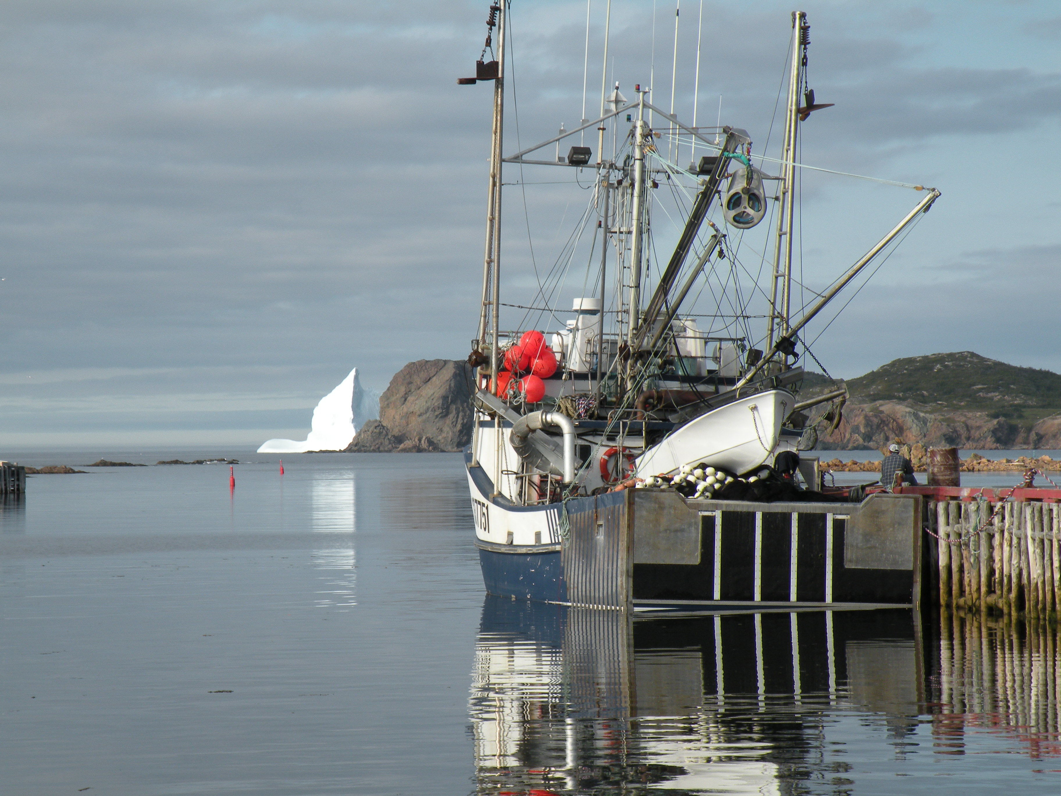 Fishing trawler and iceberg | Stay in Twillingate