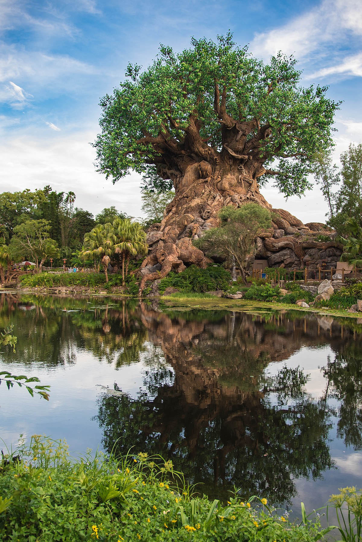 Tree of Life (Disney) - Wikipedia