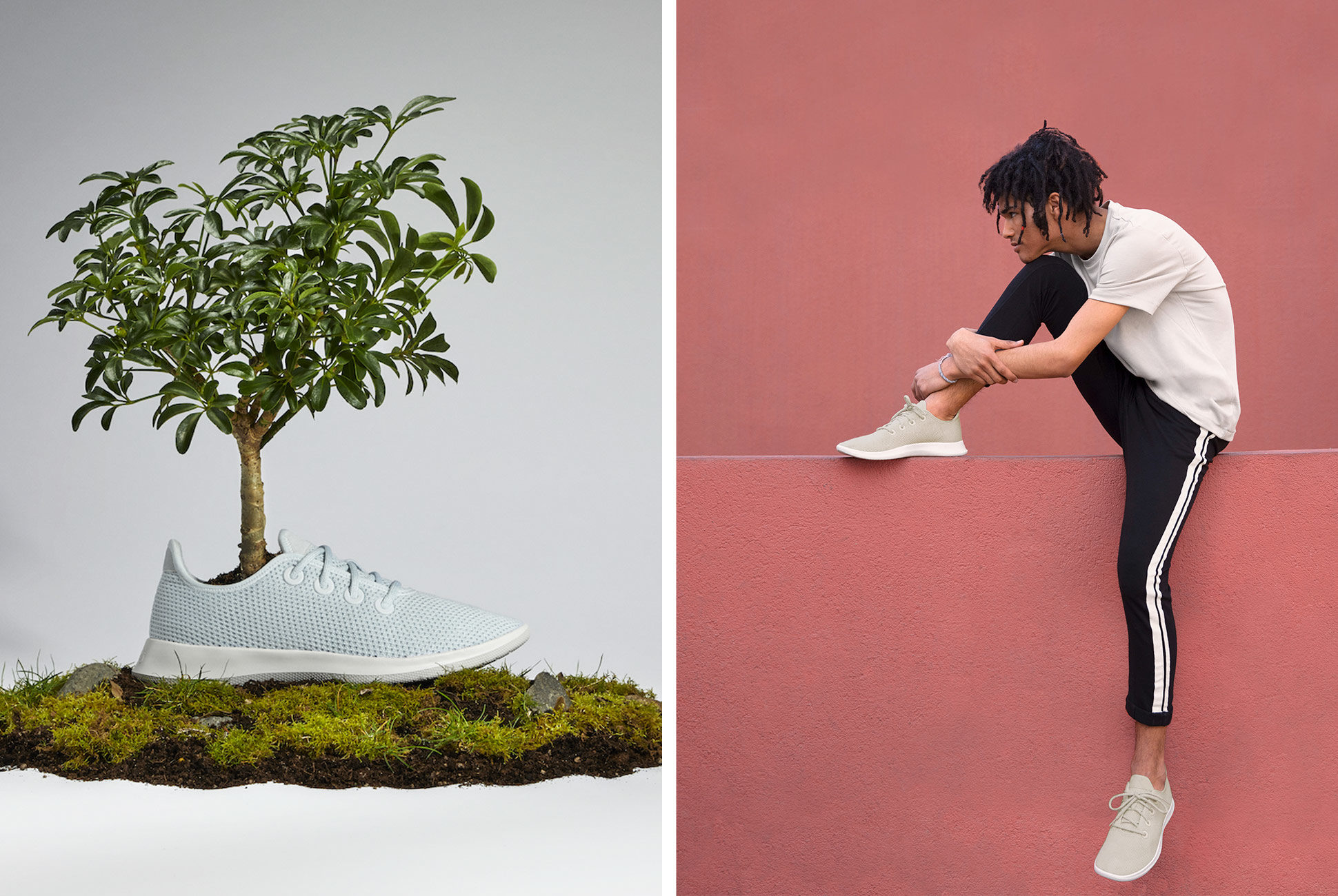 Allbirds' Latest Innovative Runners Are Made from Trees