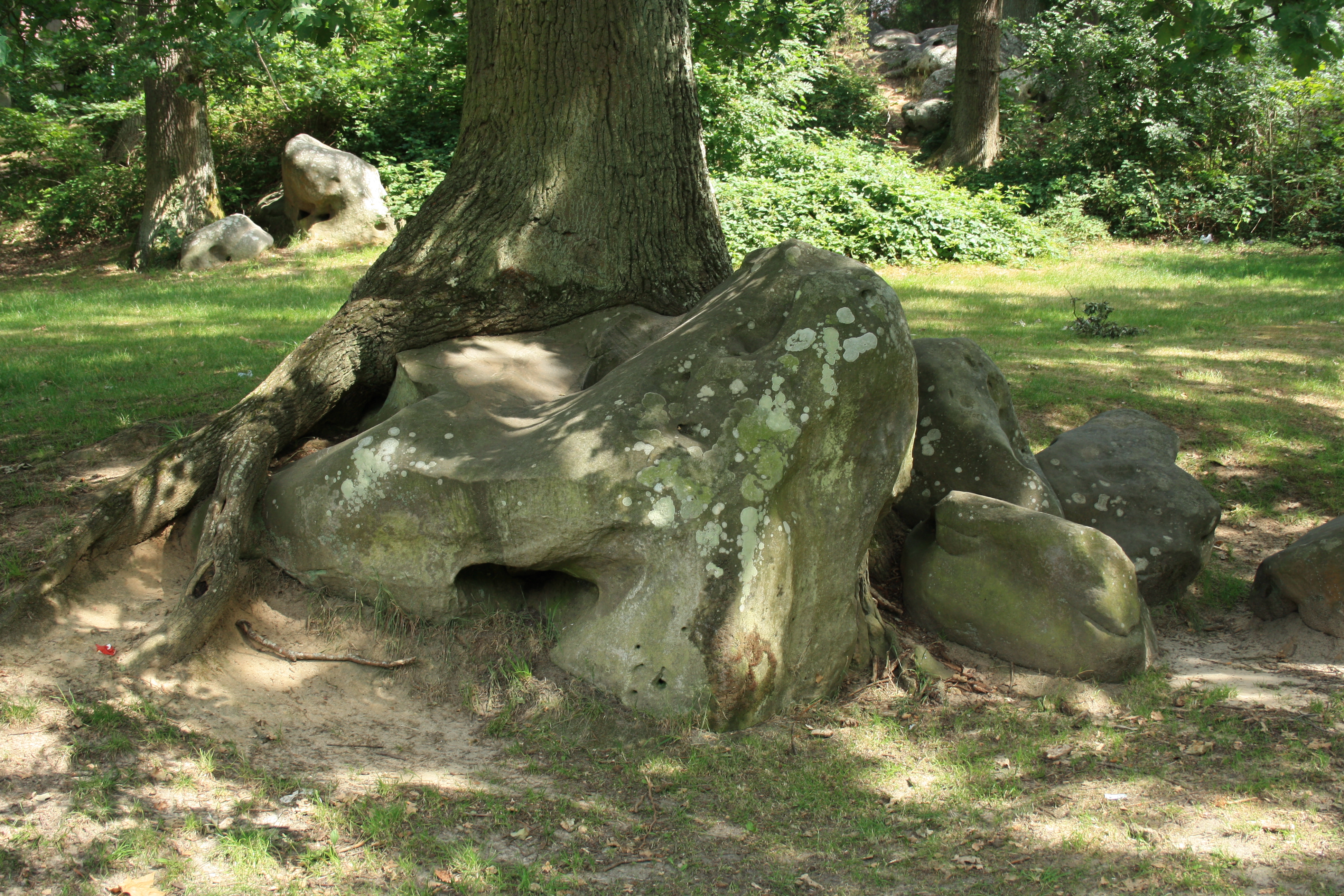 File:Saint Remy les Chevreuse Tree Rock.jpg - Wikimedia Commons