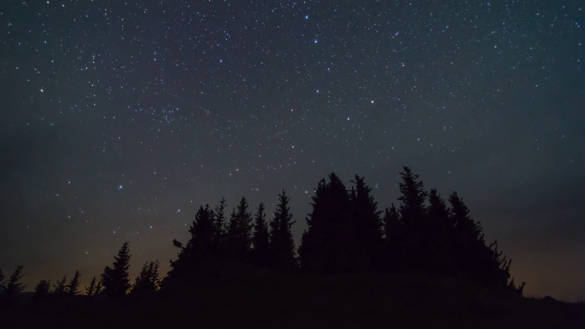 Time lapse of the stars and trees at night Stock Video Footage ...