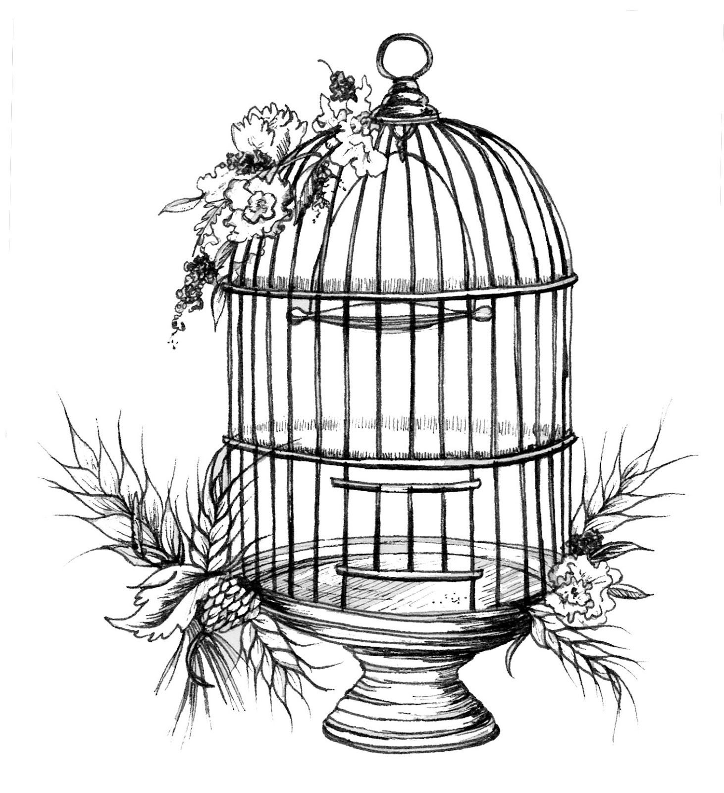 Bird Cage Sketch | Birds and their homes | Pinterest | Bird cages ...